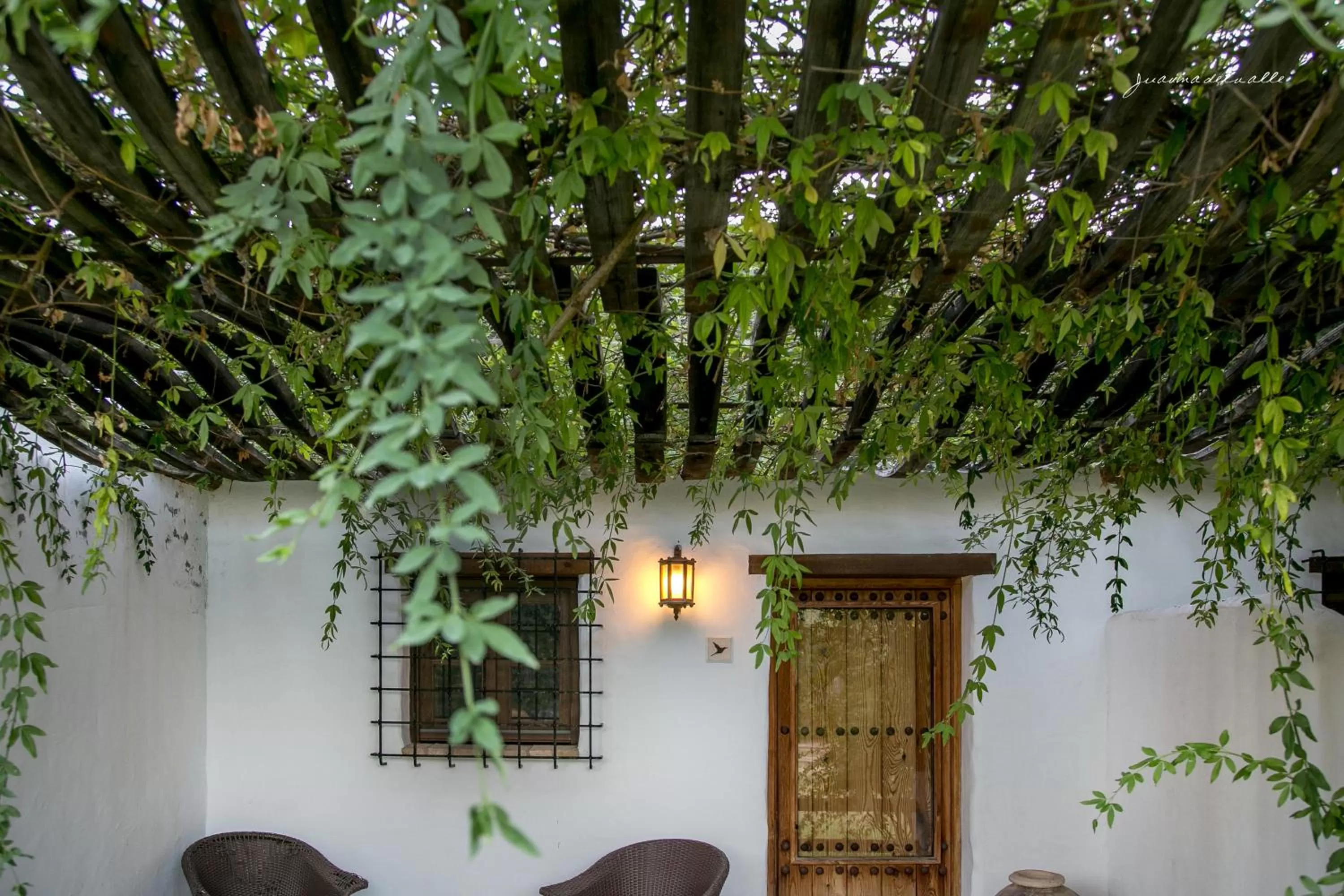 Balcony/Terrace in Ardea Purpurea