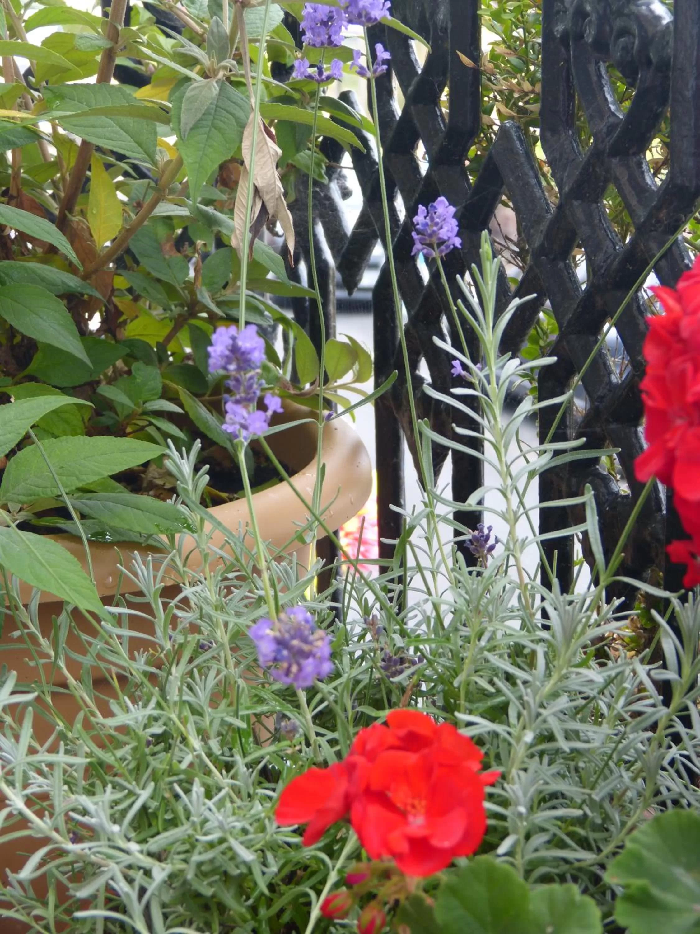 Decorative detail in The Iverna