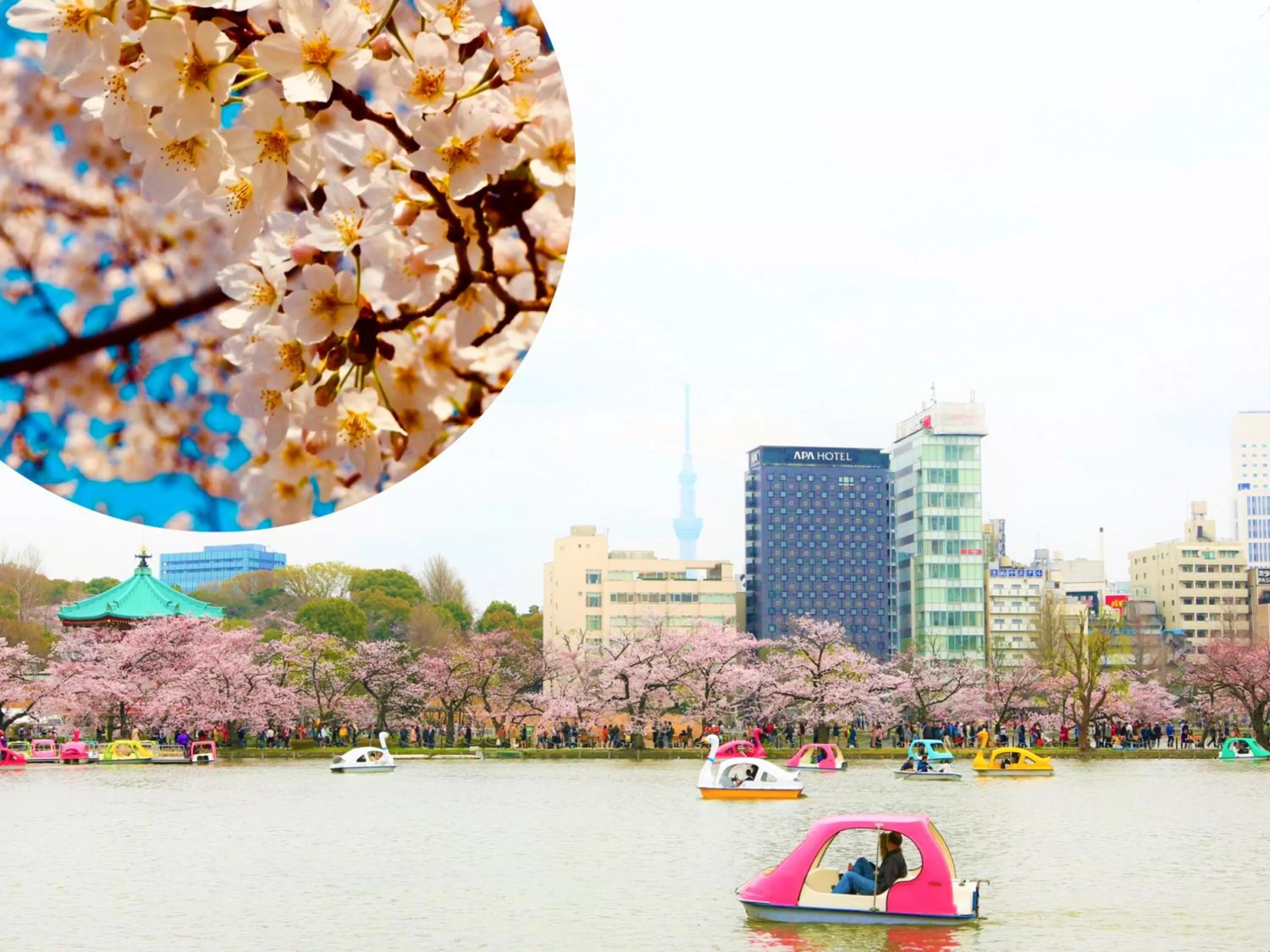 Property building in APA Hotel Keisei Ueno Ekimae