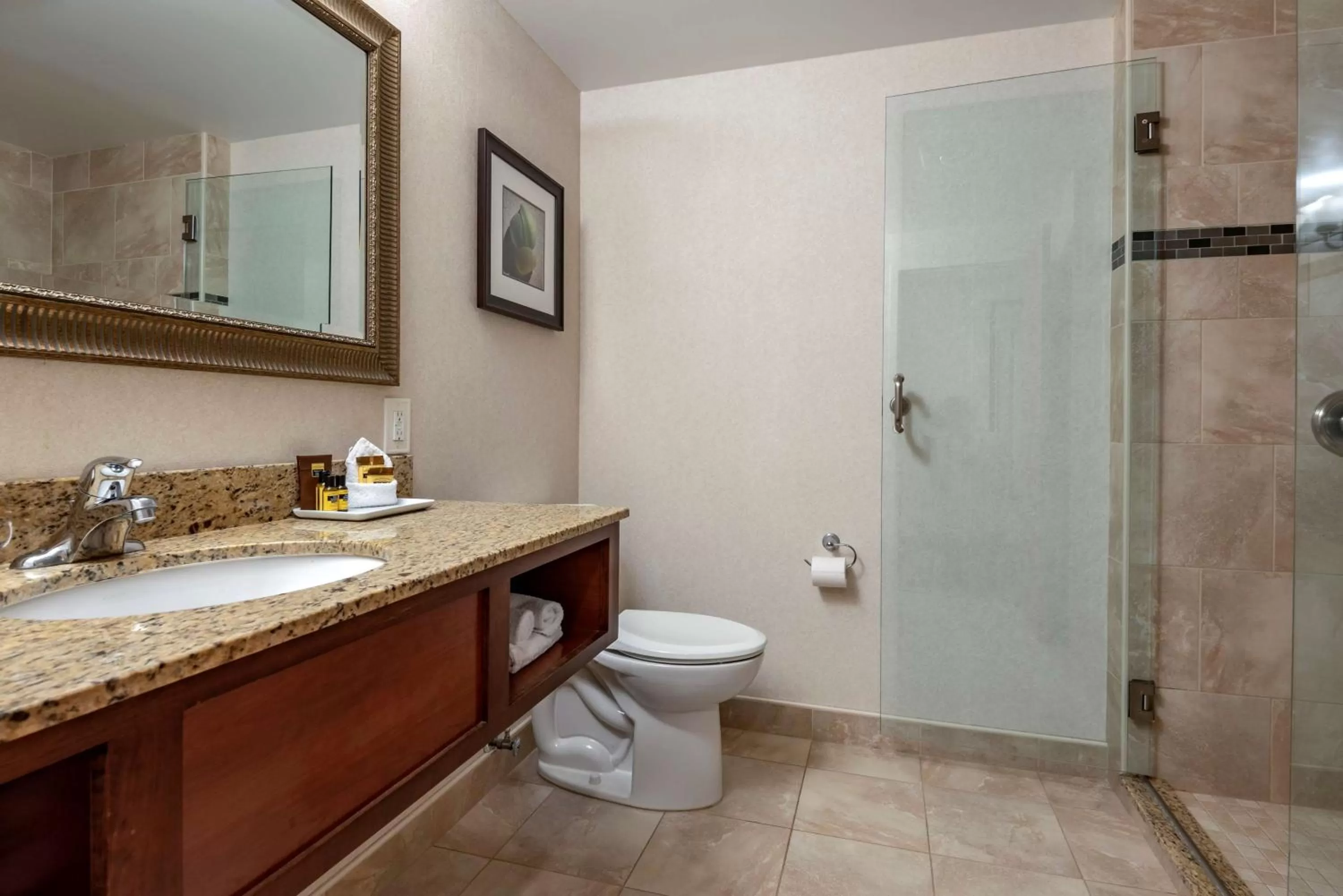Bathroom in Best Western Plus Oswego Hotel and Conference Center