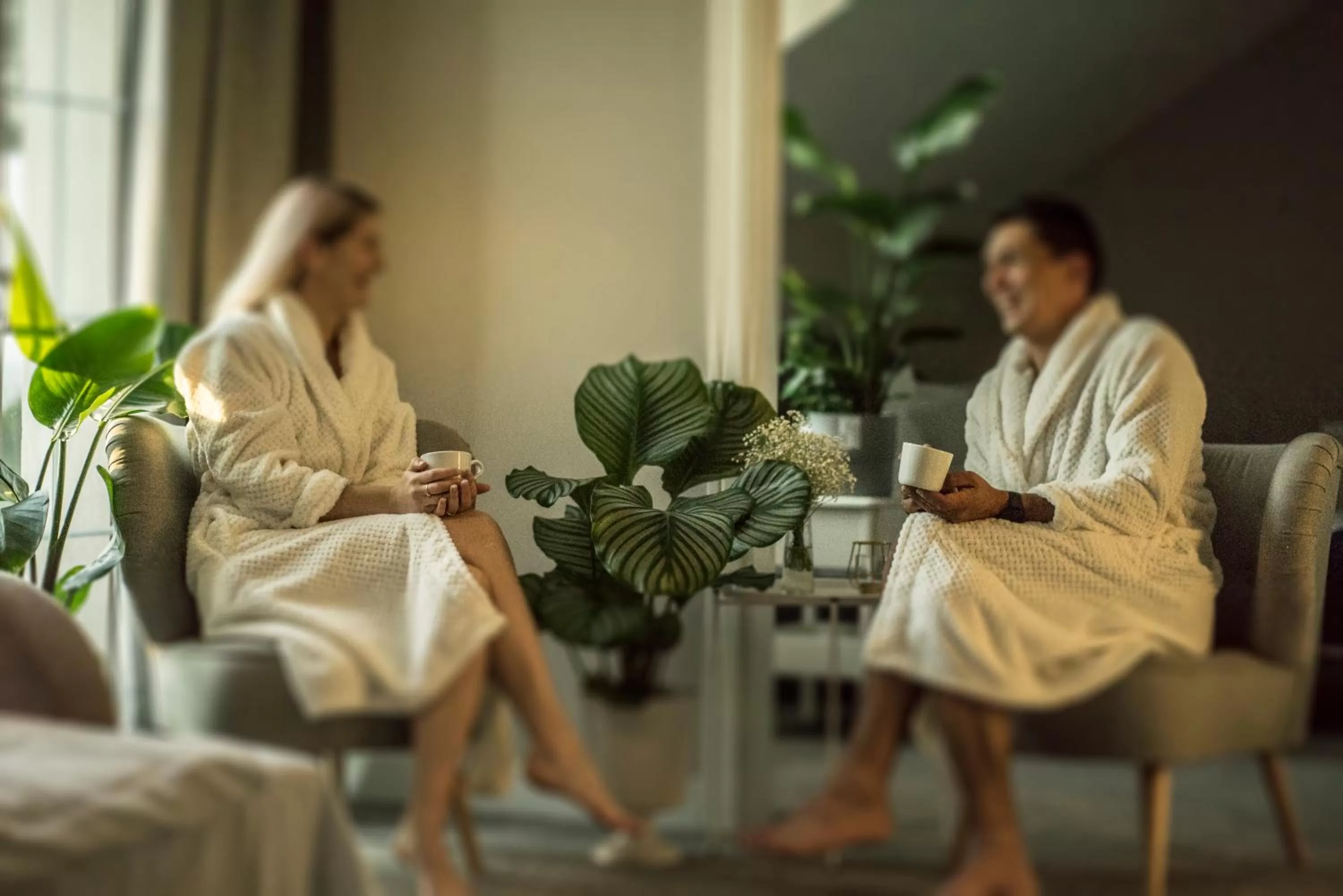 Guests in Pod Platanem Gliwice