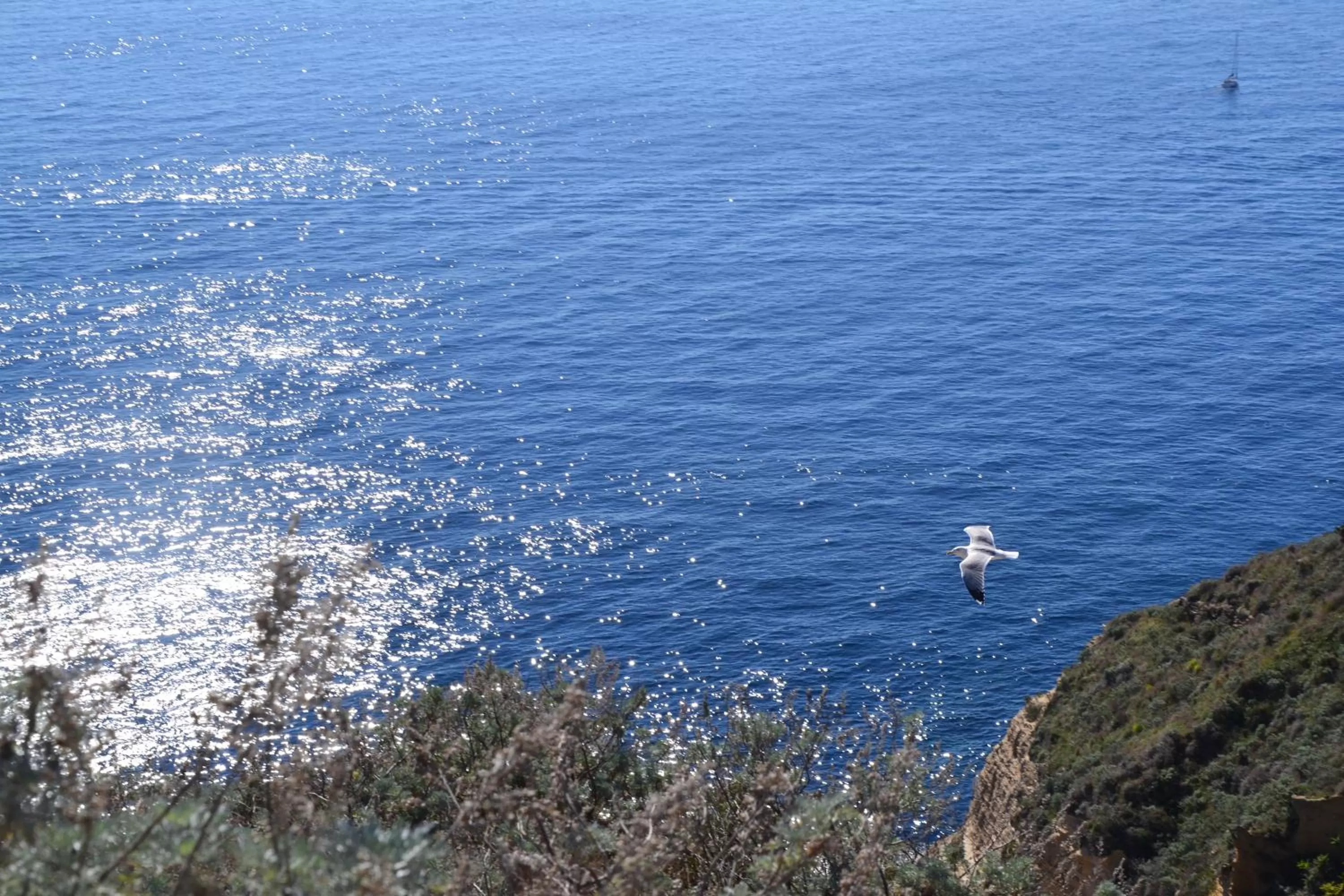 On site in Terra Murata Boutique b&b