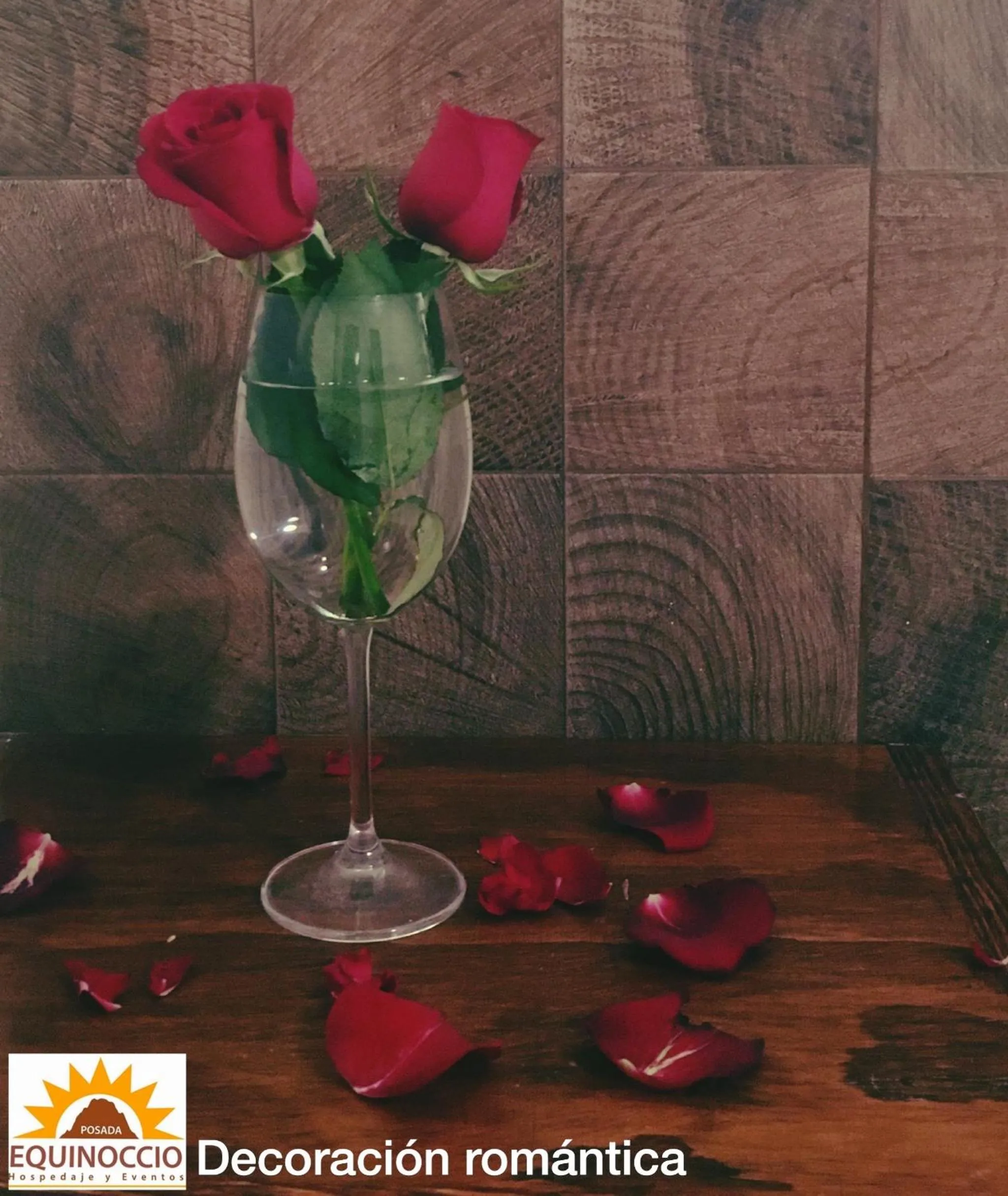 Decorative detail in Posada Equinoccio