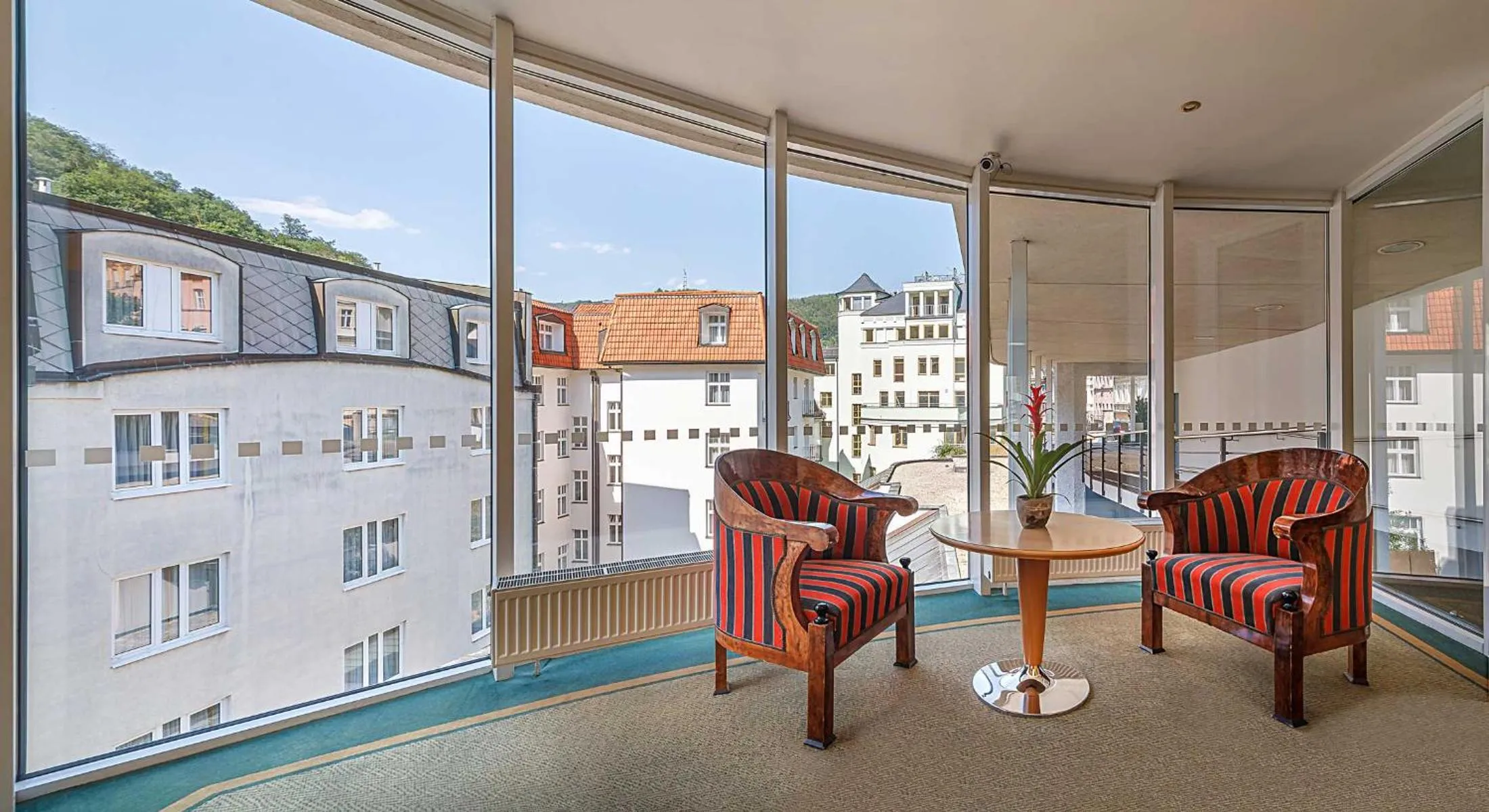 City view in Dvorak Spa & Wellness