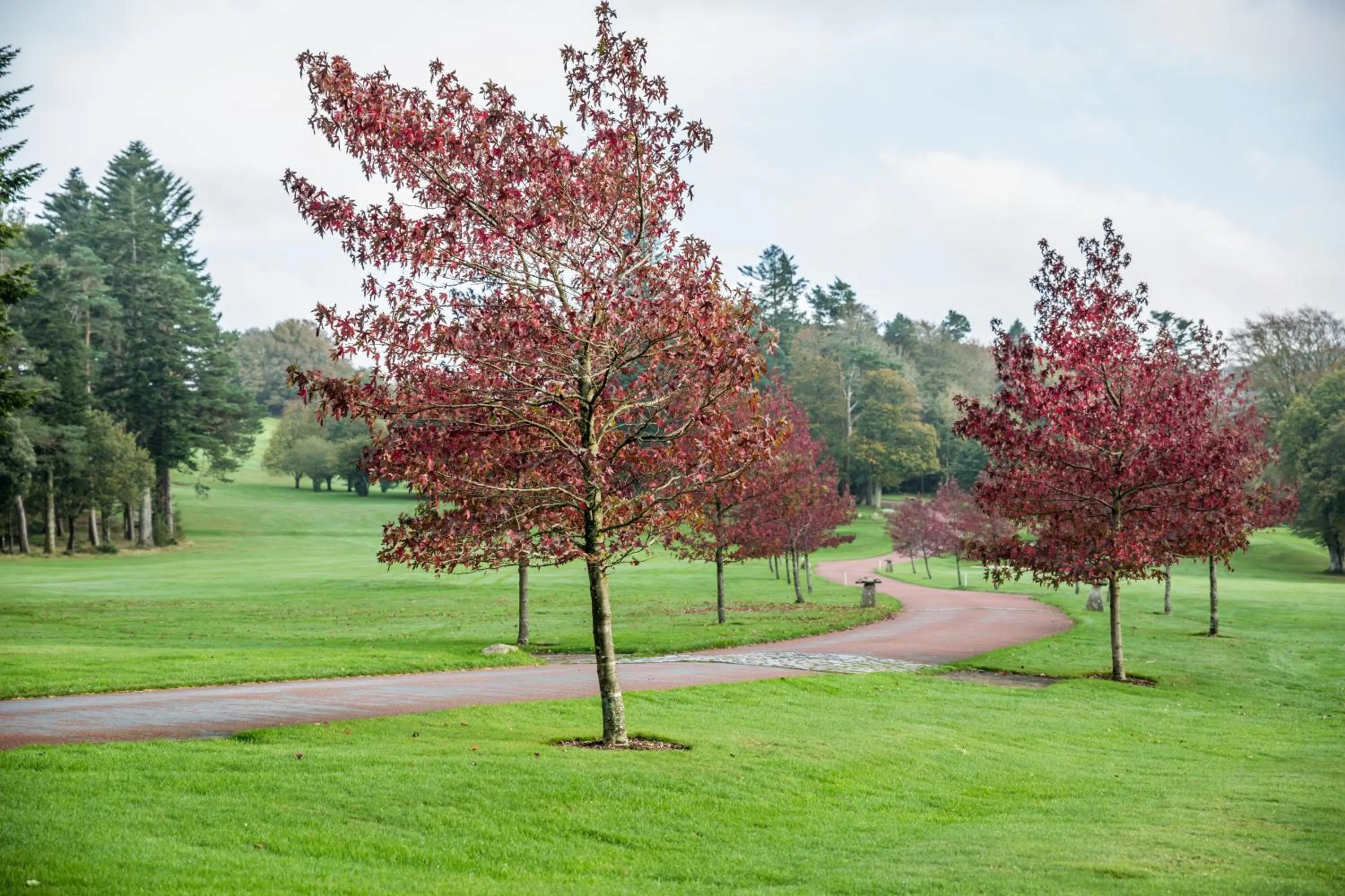 Autumn in Bovey Castle