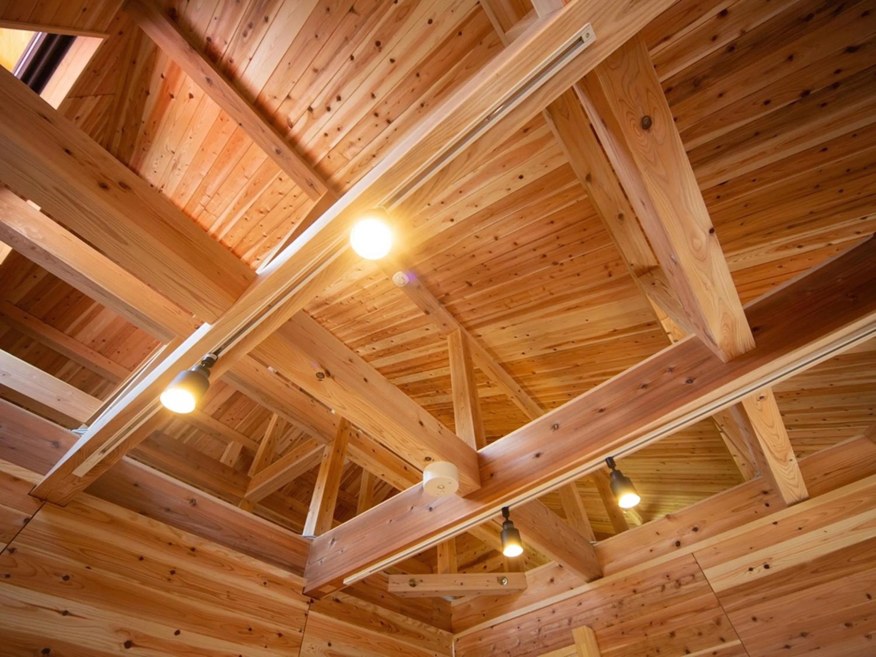 Photo of the whole room in Matsue Forest Park