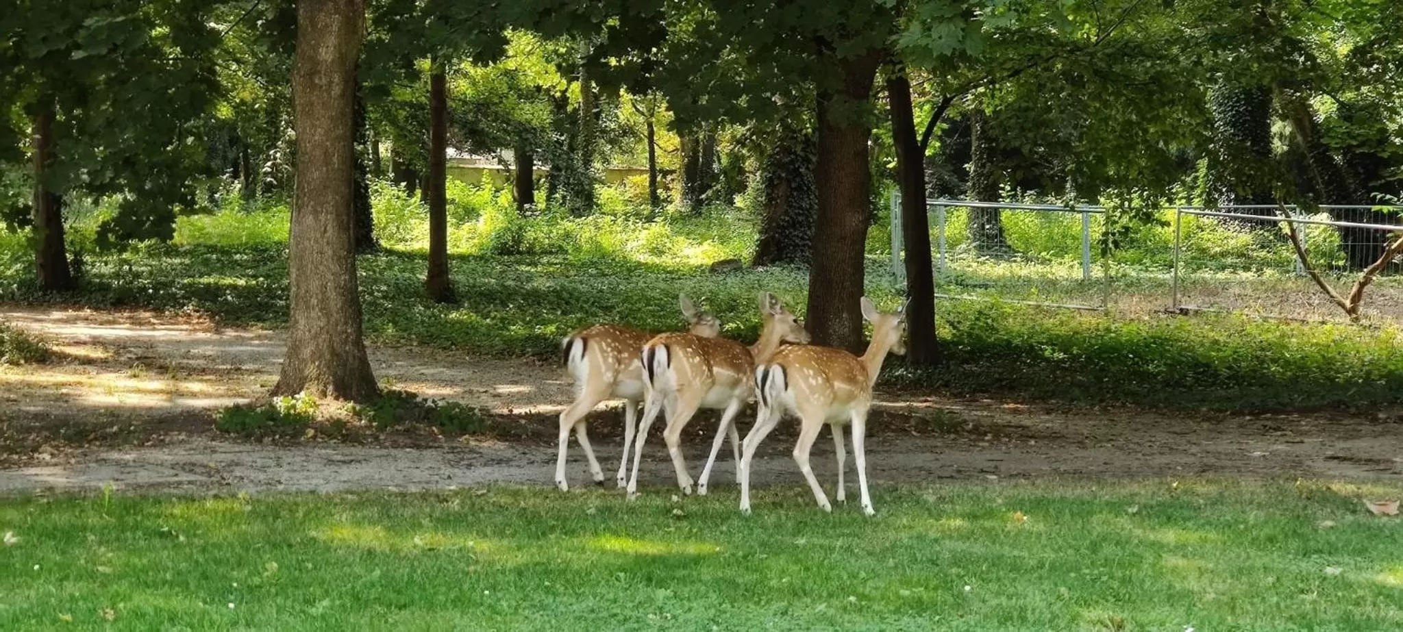 Gartenhotel Altmannsdorf