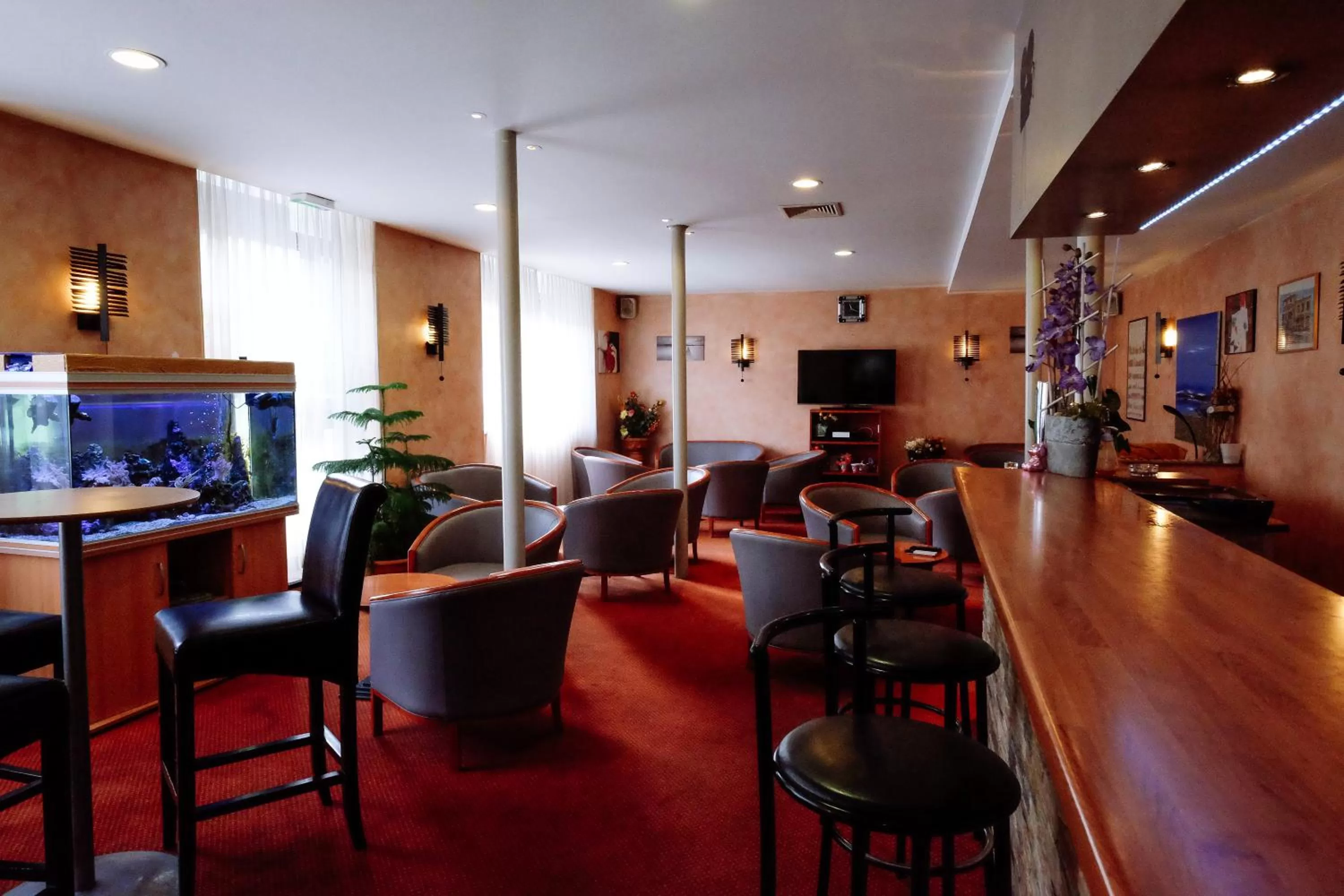 Lounge or bar in Hôtel Pedussaut