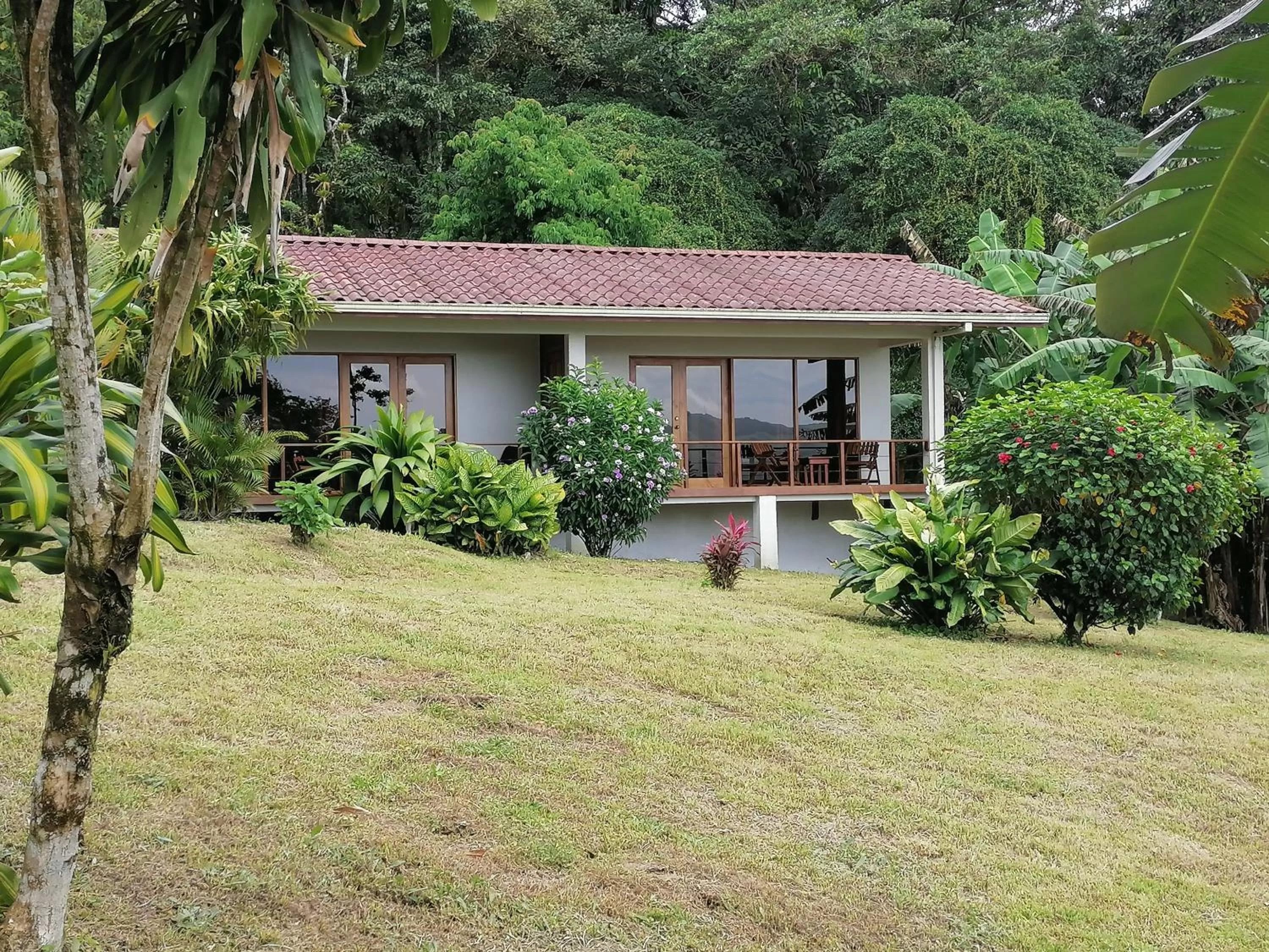 Property Building in La Ceiba Tree Lodge