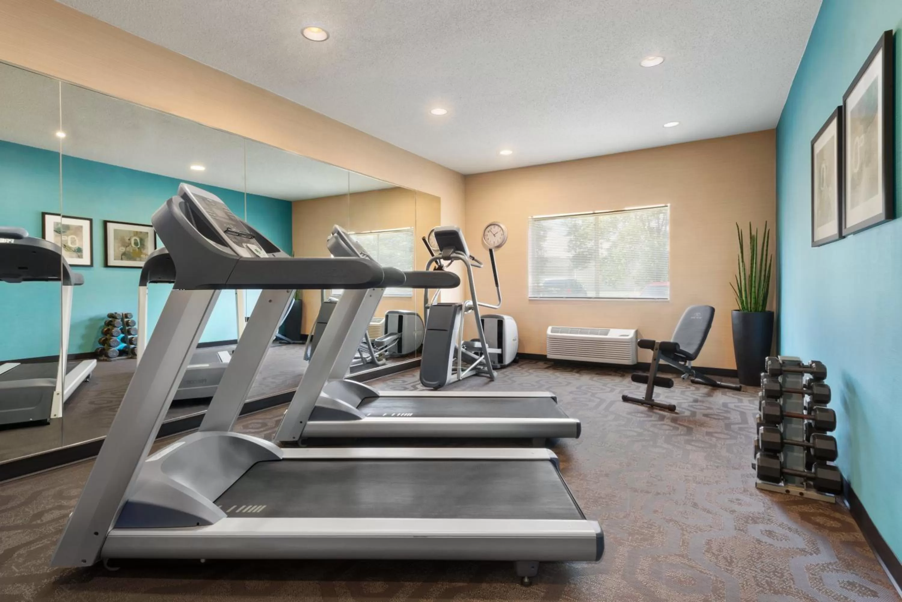 Fitness centre/facilities in Amerivu Inn and Suites