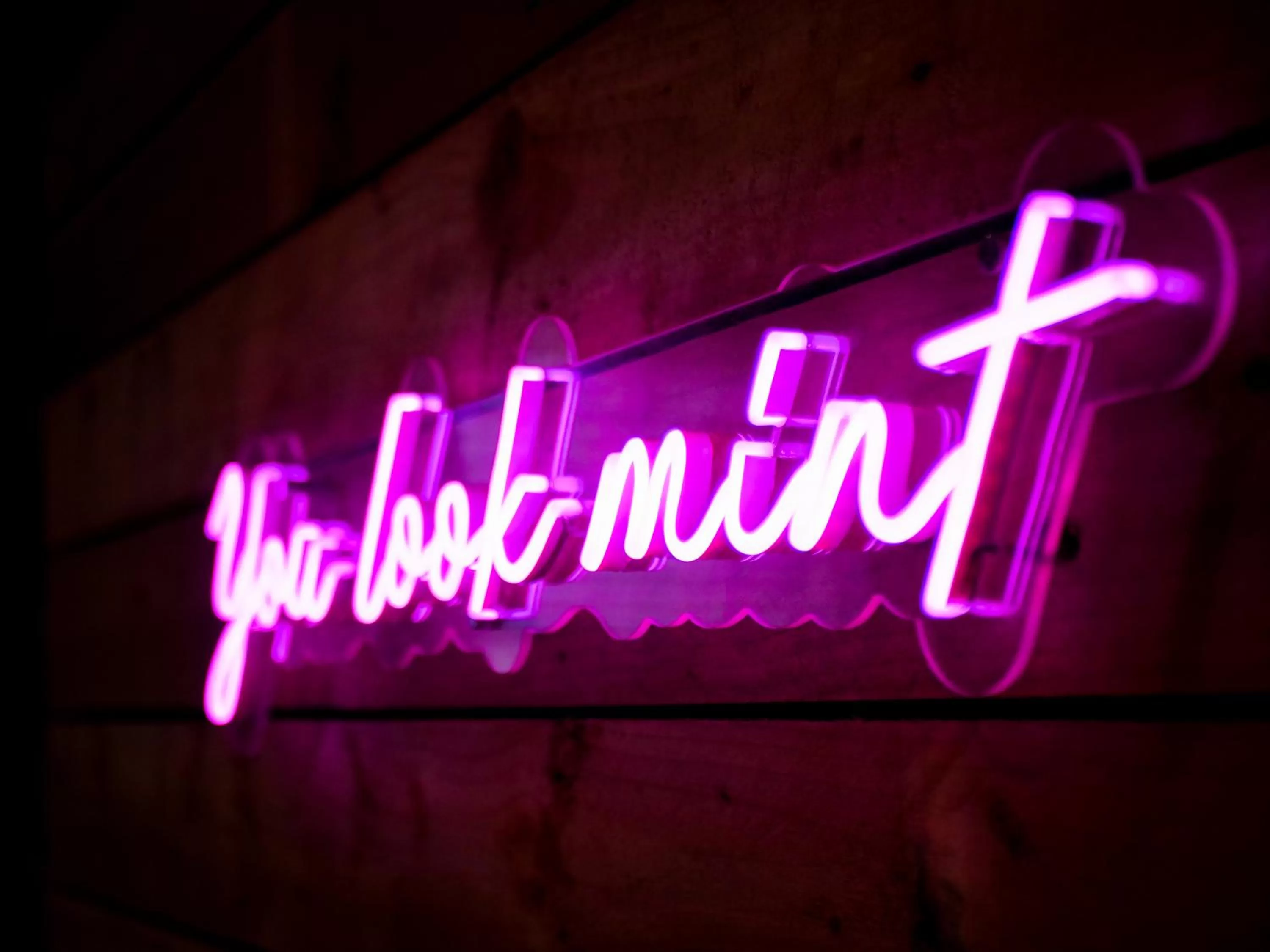 Property logo or sign in The Lazy Pug