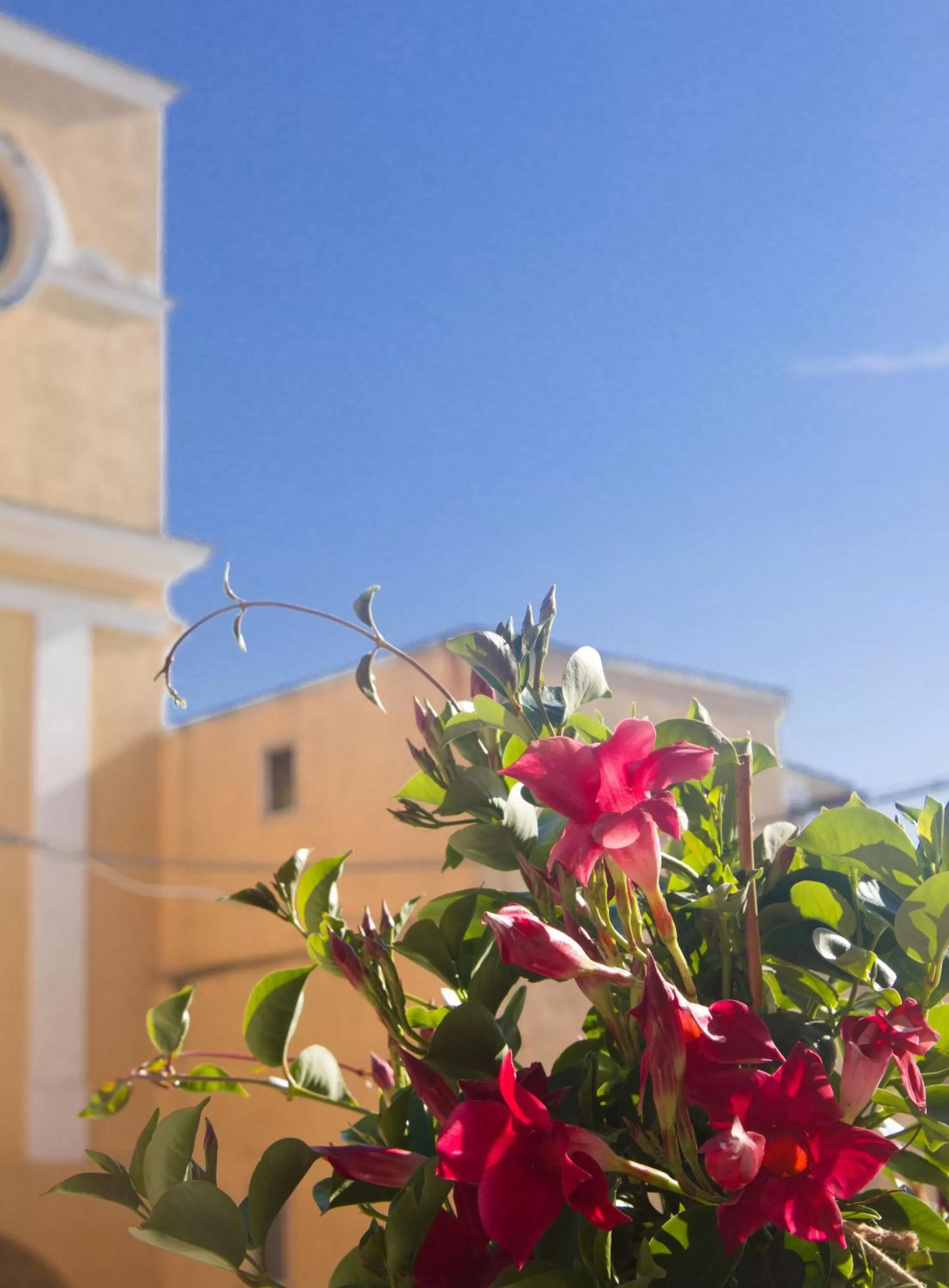 View (from property/room) in B&B San Trifone