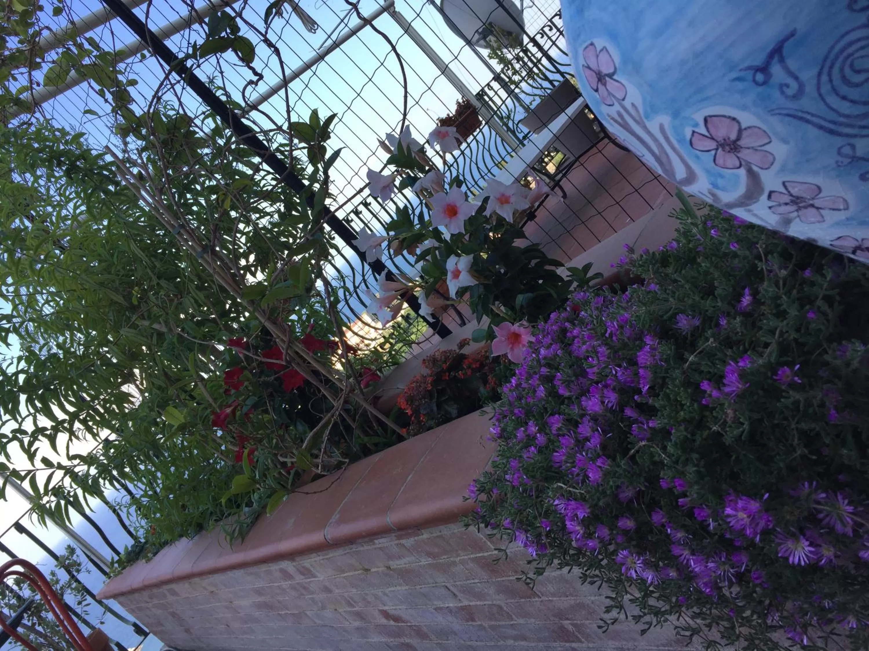 Property building in B&B La Terrazza Sul Mare Taormina