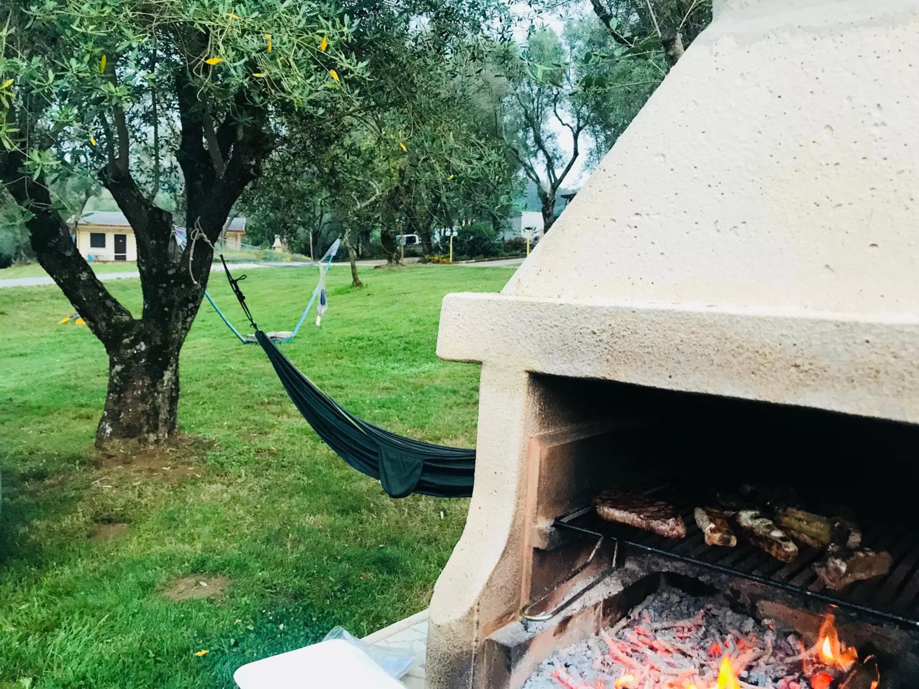 BBQ facilities in Green Park Hotel & Residence