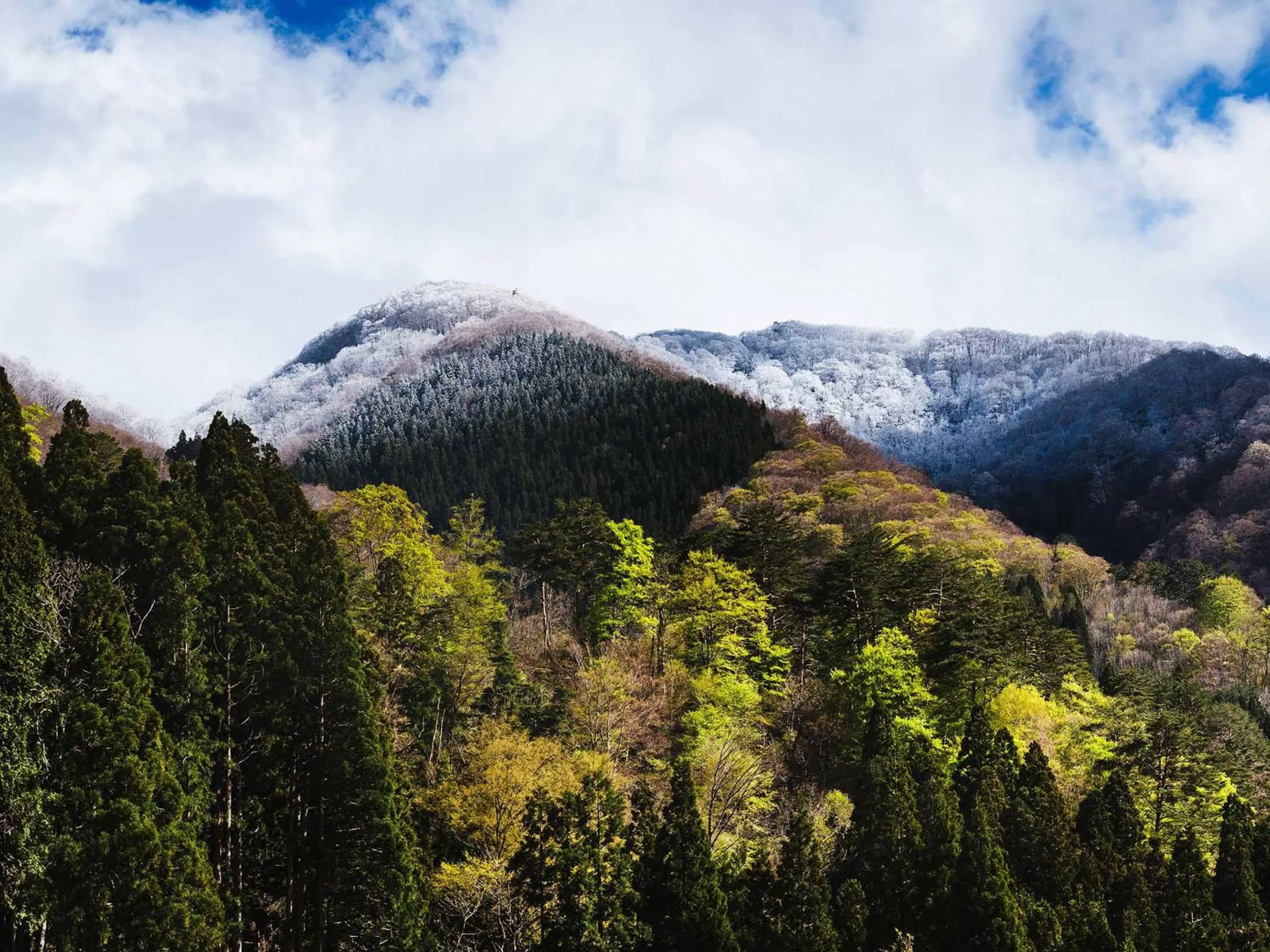 Nearby landmark in THE MACHIYA HOTEL TAKAYAMA