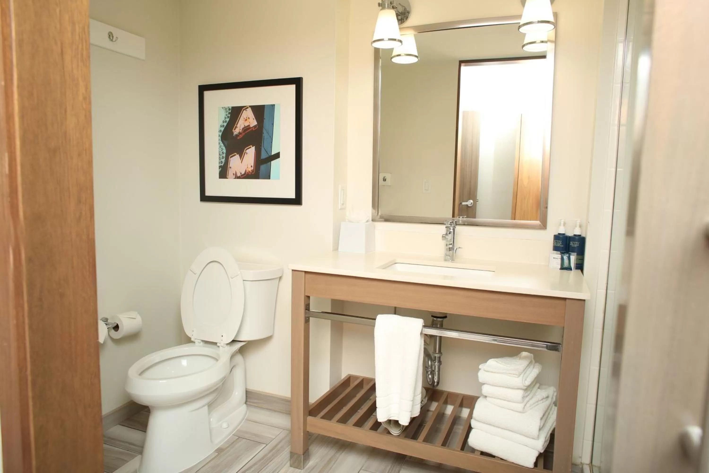 Photo of the whole room, Bathroom in Four Points by Sheraton Midland