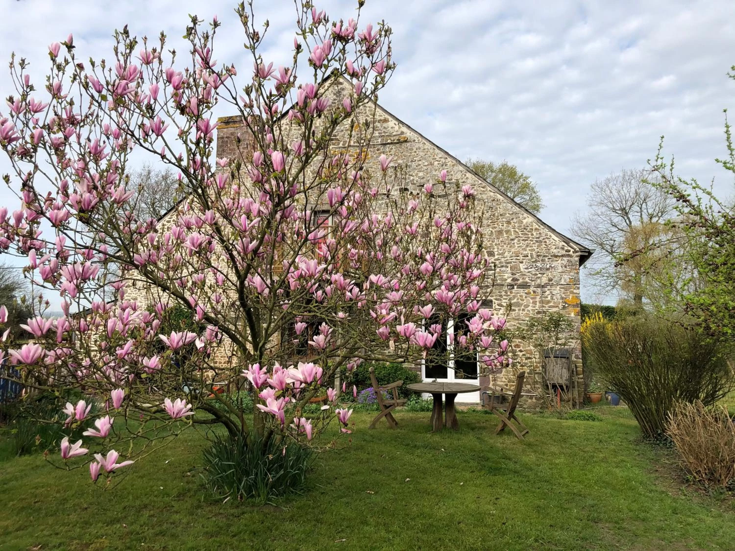 Chambres d'Hôtes Bastia et Bonifacio
