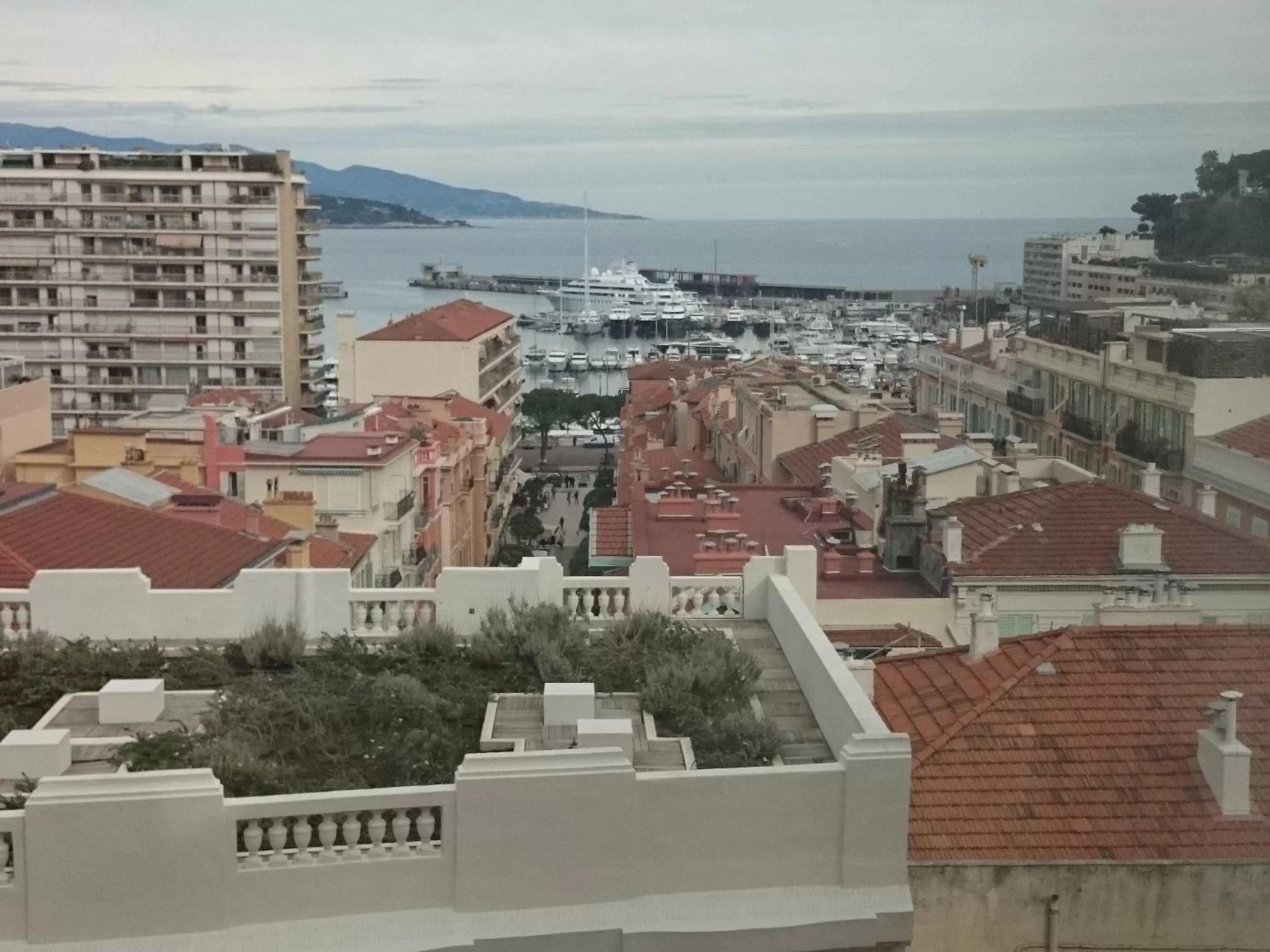 Area and facilities in Ambassador-Monaco