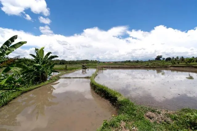 View (from property/room) in Bali Harmony Villa