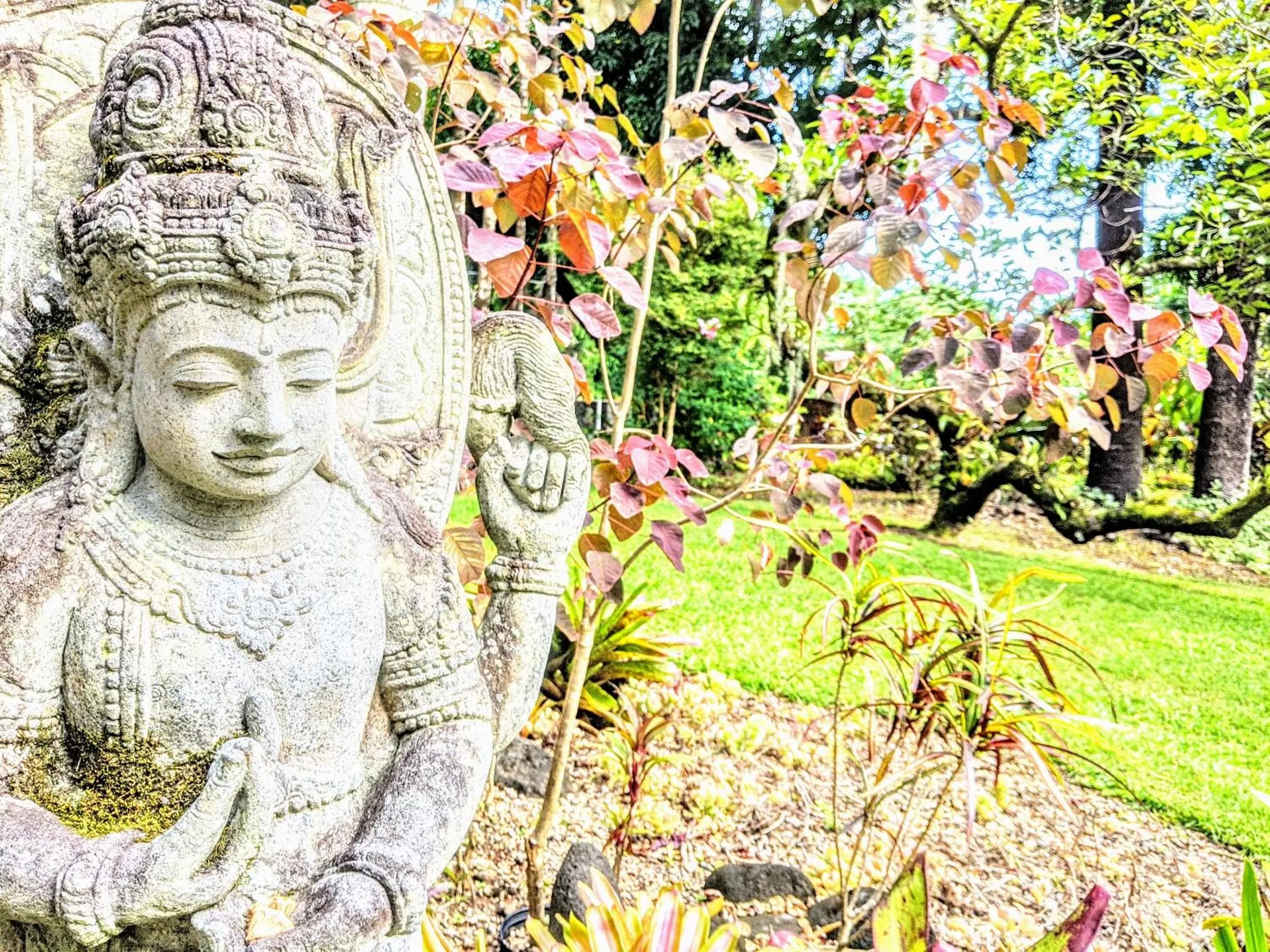 Garden in Kehena Mauka Nui Club LGBTQIA+ Clothing Optional