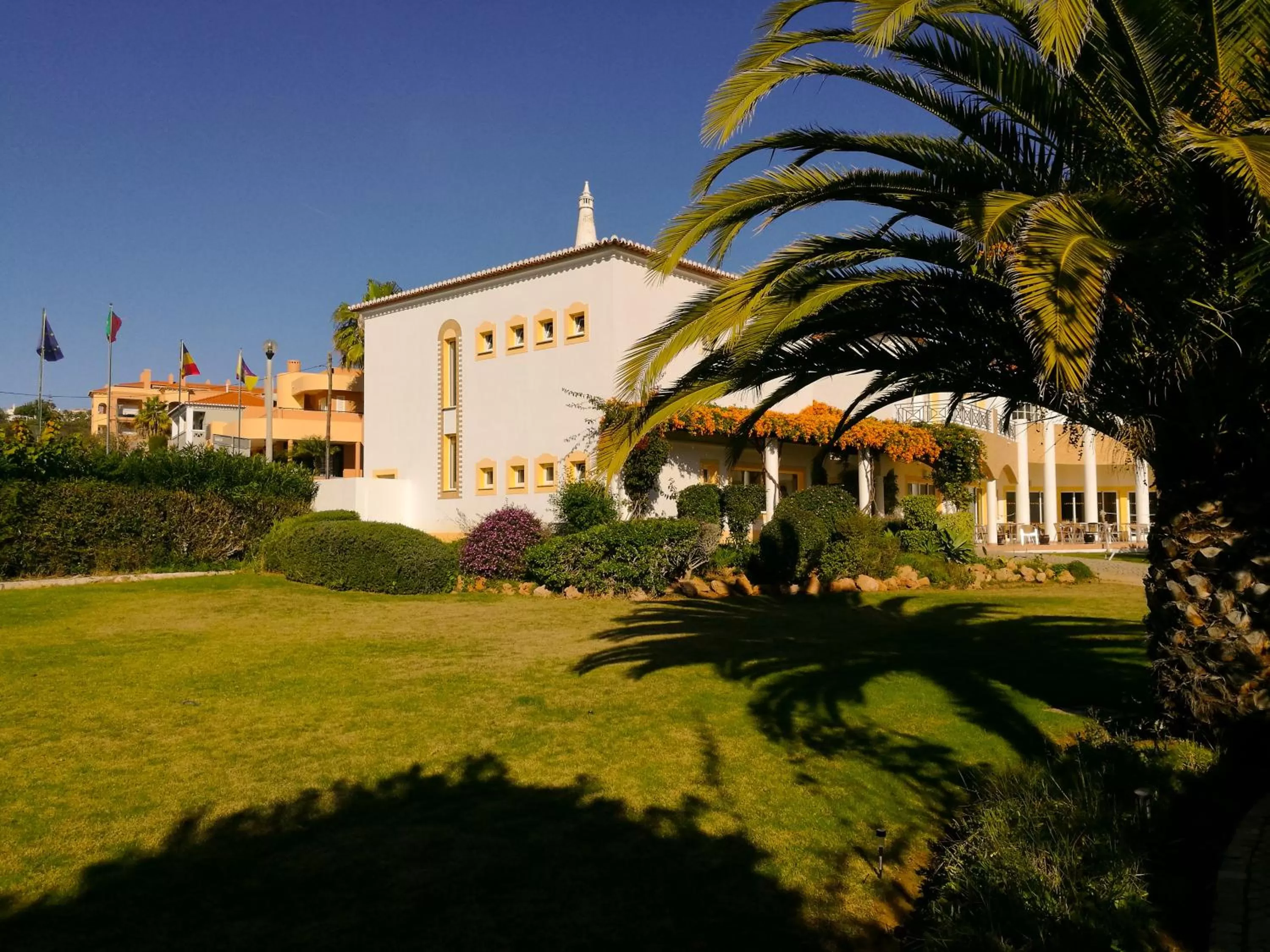 Garden in Club House CVL