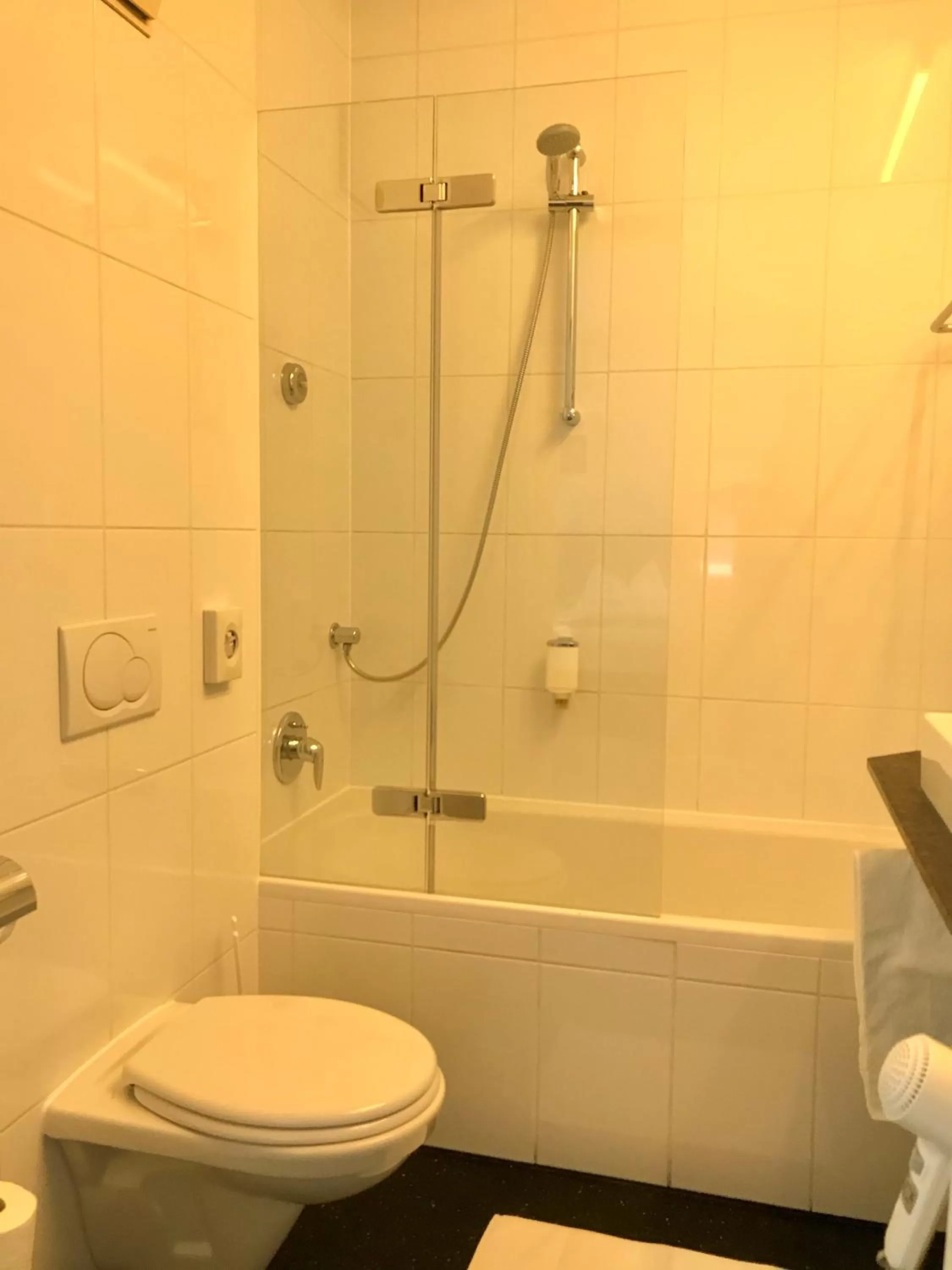 Toilet in Parkhotel Hall in Tirol