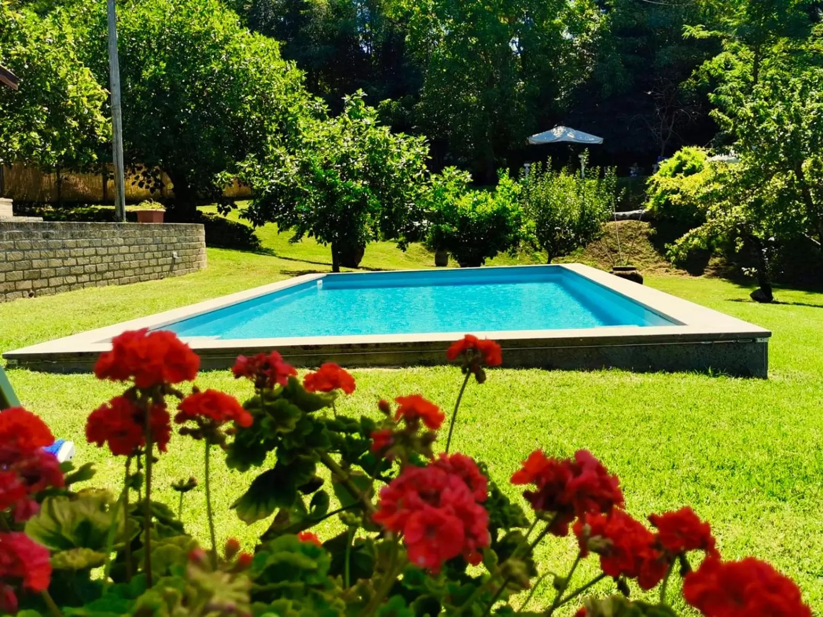 Swimming Pool in Casale Druida