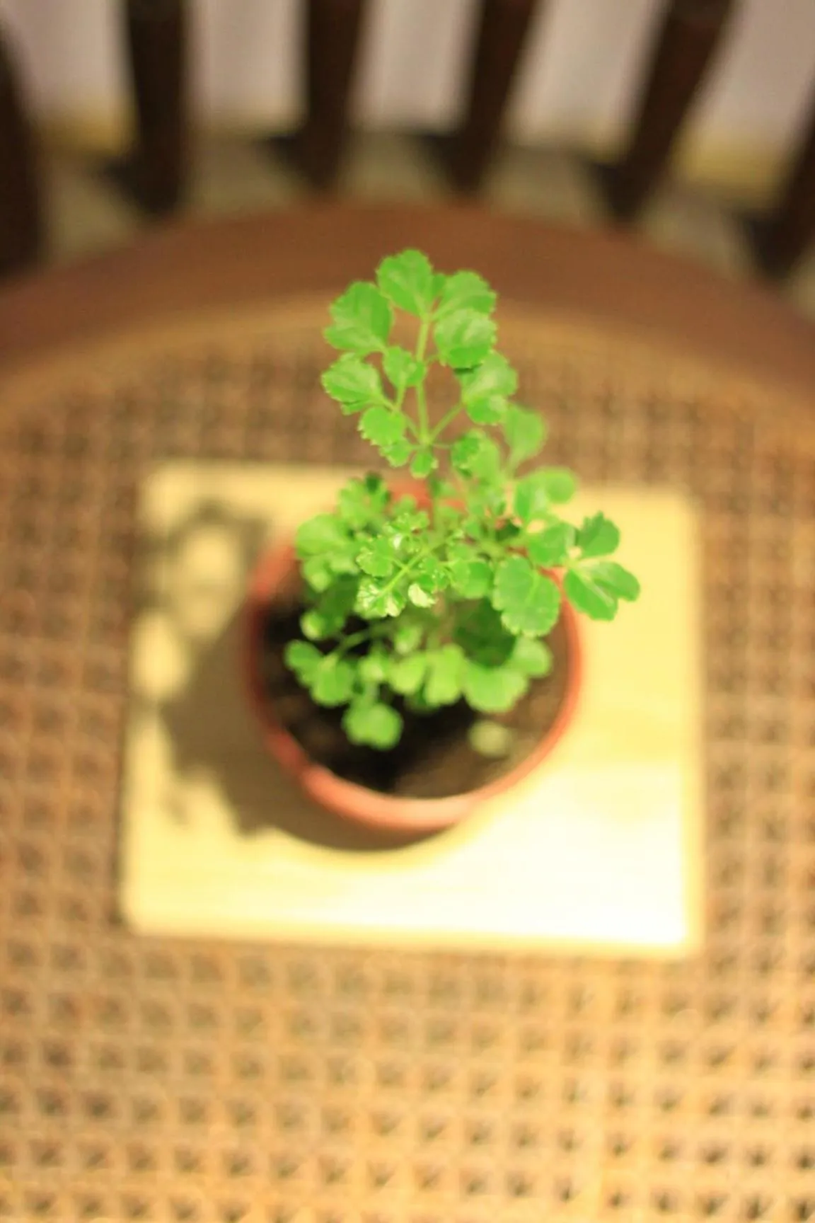 Decorative detail in 禾裕 北車 Hey!U