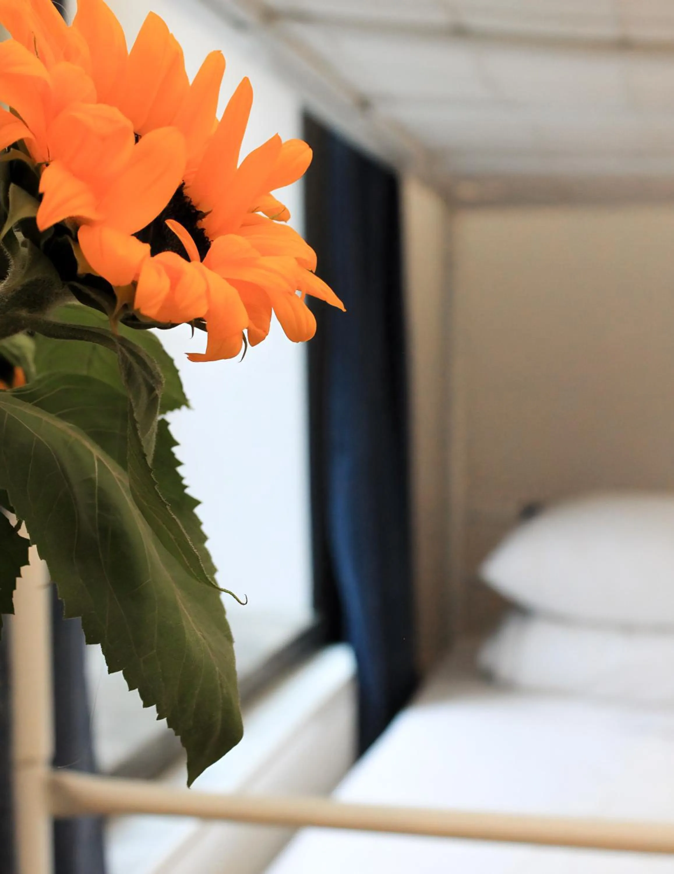 Photo of the whole room, Bed in Warsaw Hostel Centrum Private Rooms & Dorms