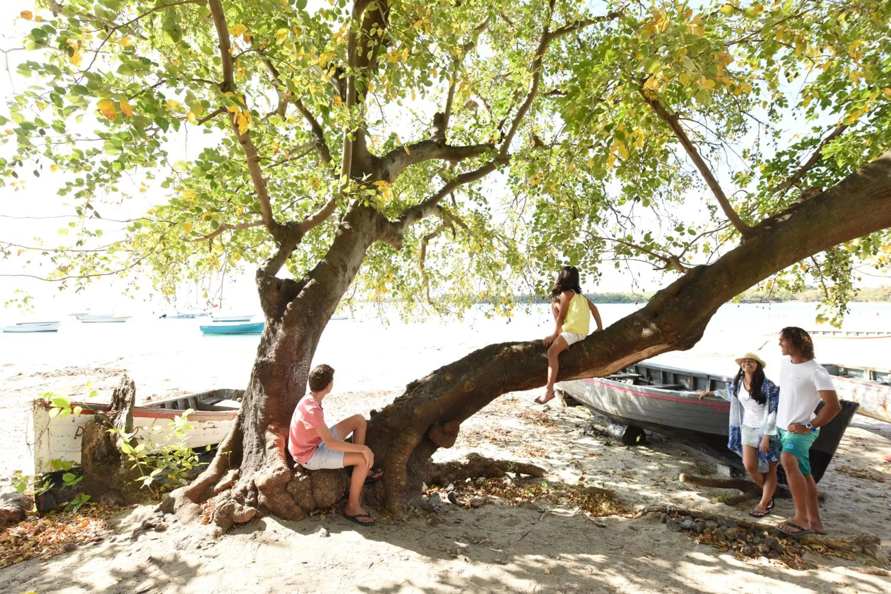 Activities in Veranda Tamarin Hotel & Spa