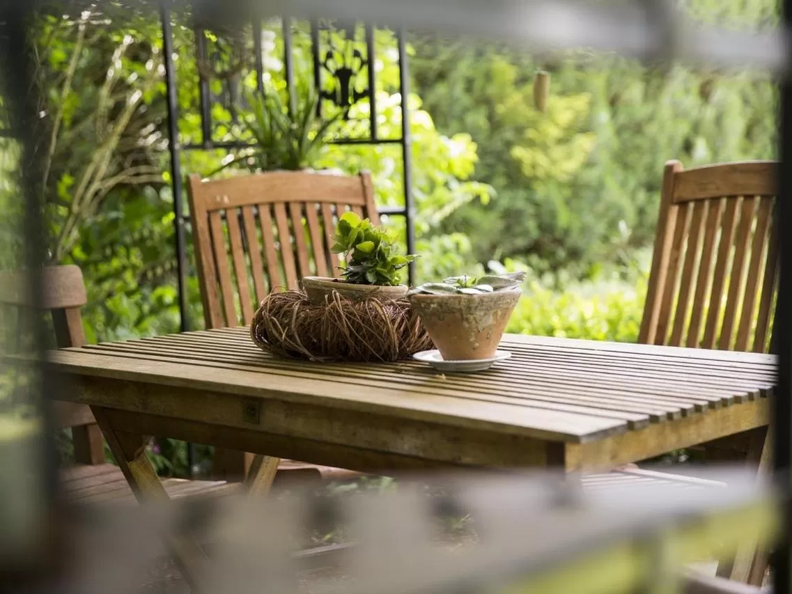 Garden in Villa Siegfried