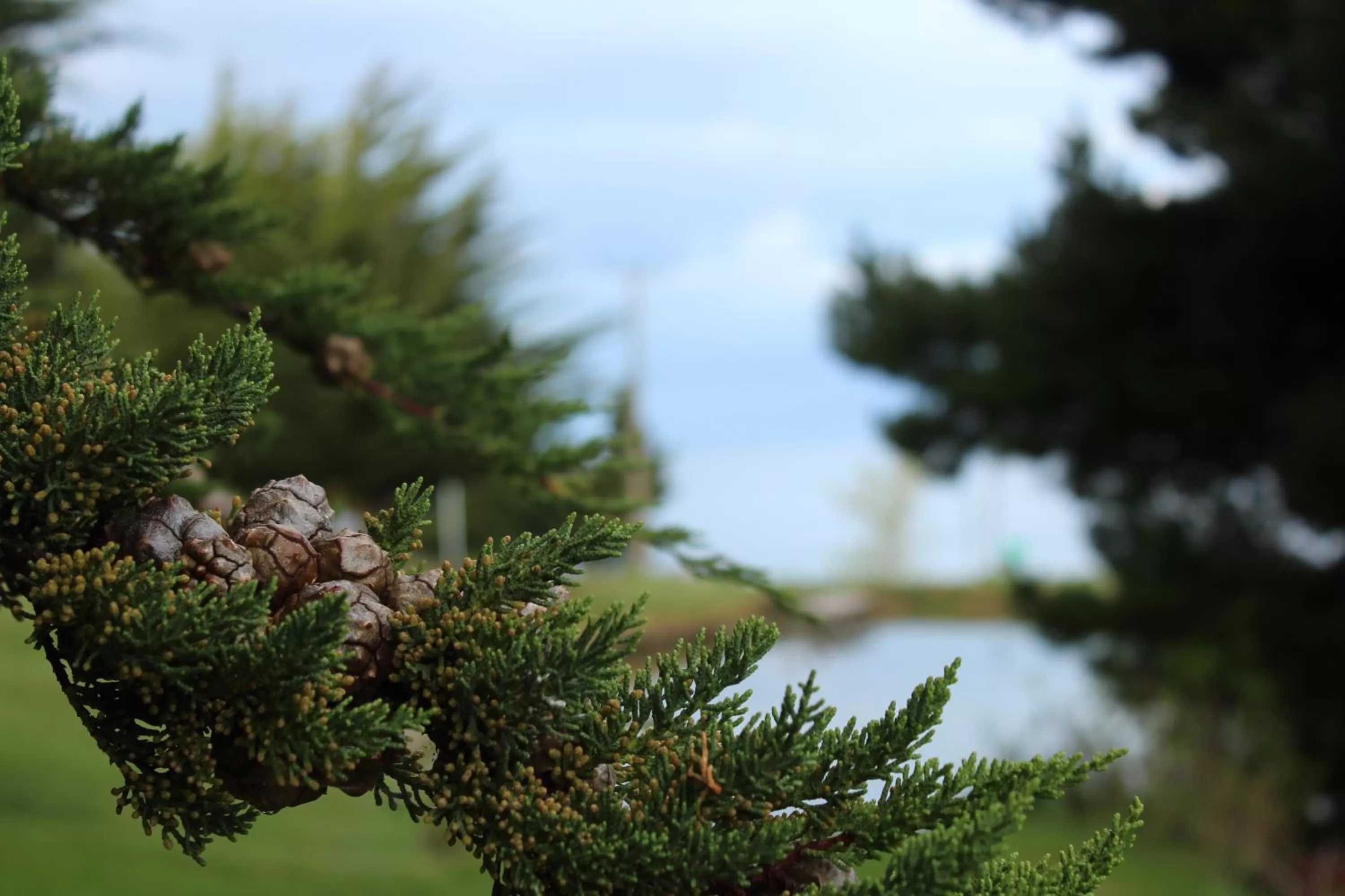 Natural landscape in Hospedaje Isla Magdalena