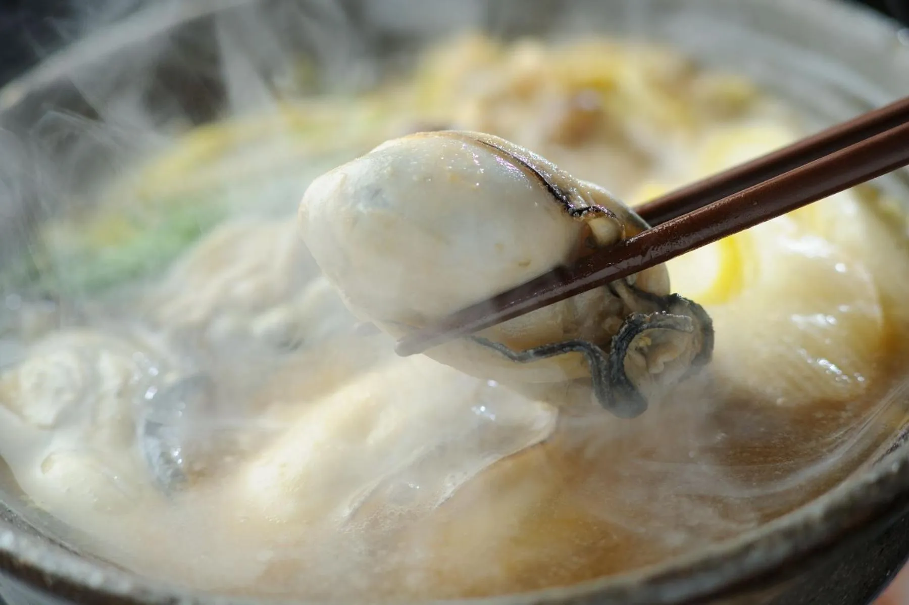 Winter in Shintomi-tei