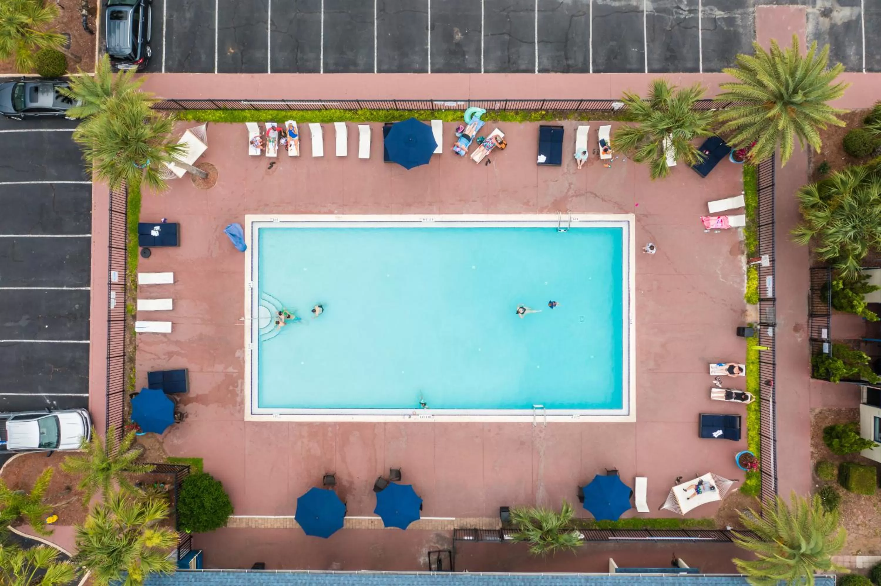 Swimming pool in Ocean Coast Hotel at the Beach Amelia Island