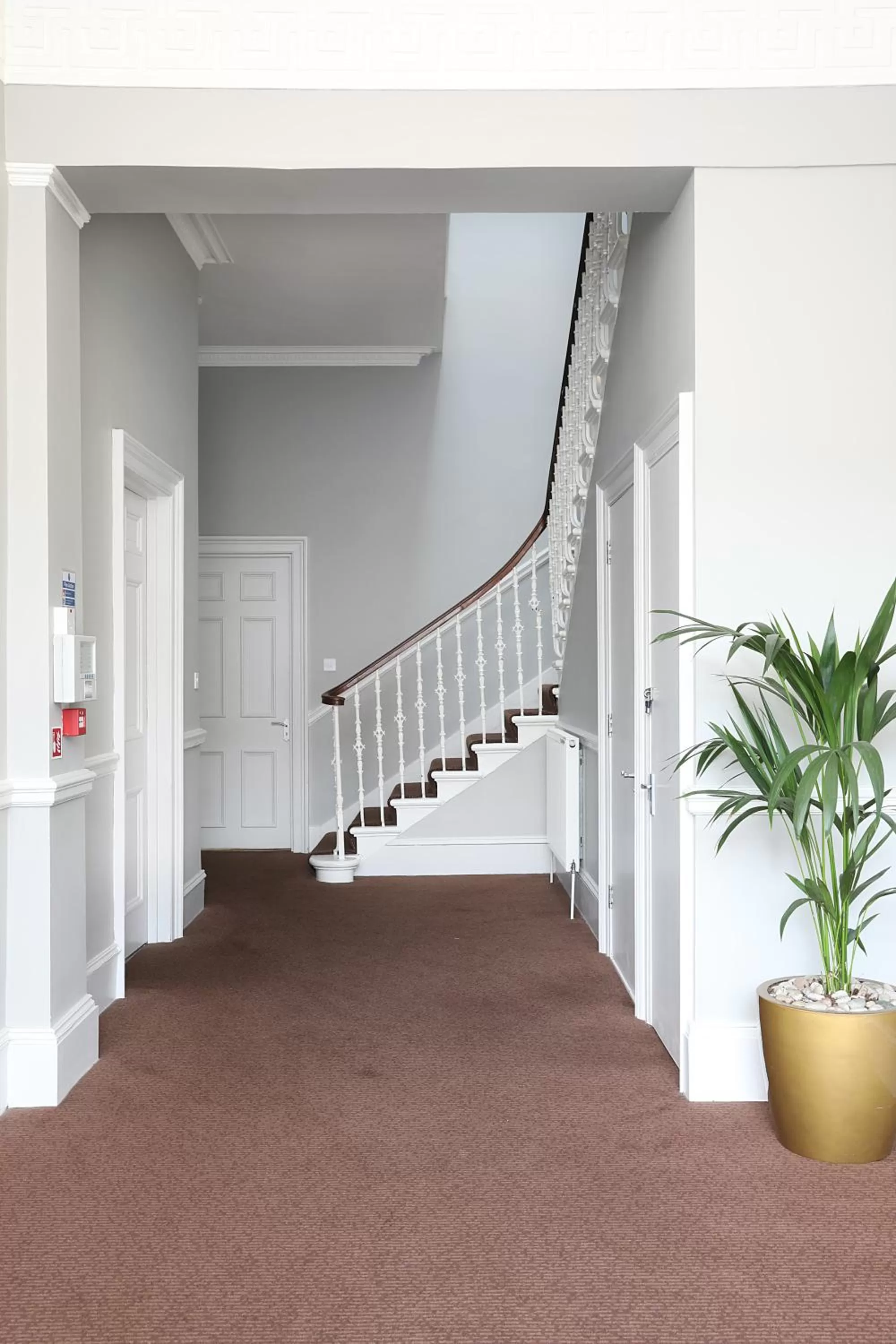 Facade/entrance in Cairn Hotel & Apartments