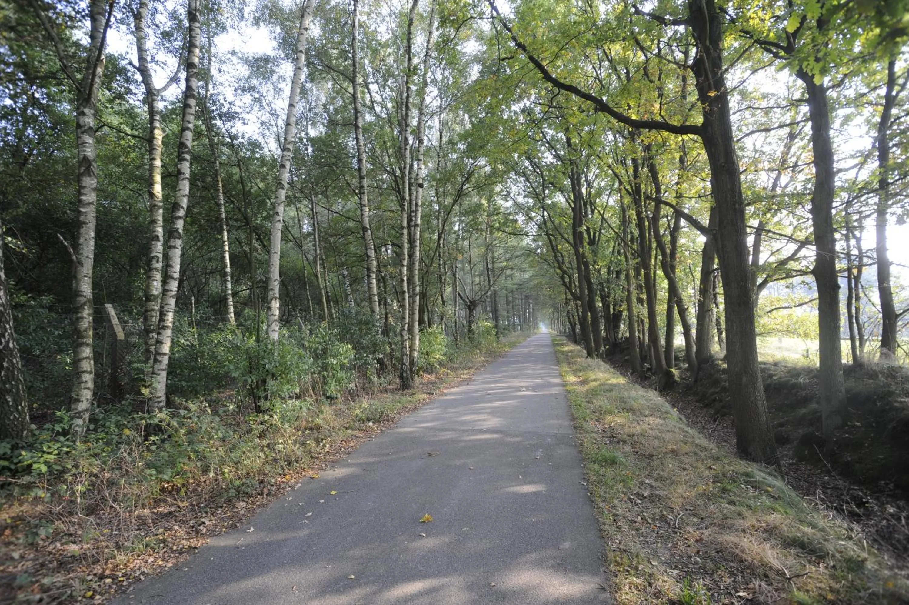 Area and facilities in Fletcher Landhotel Bosrijk Roermond