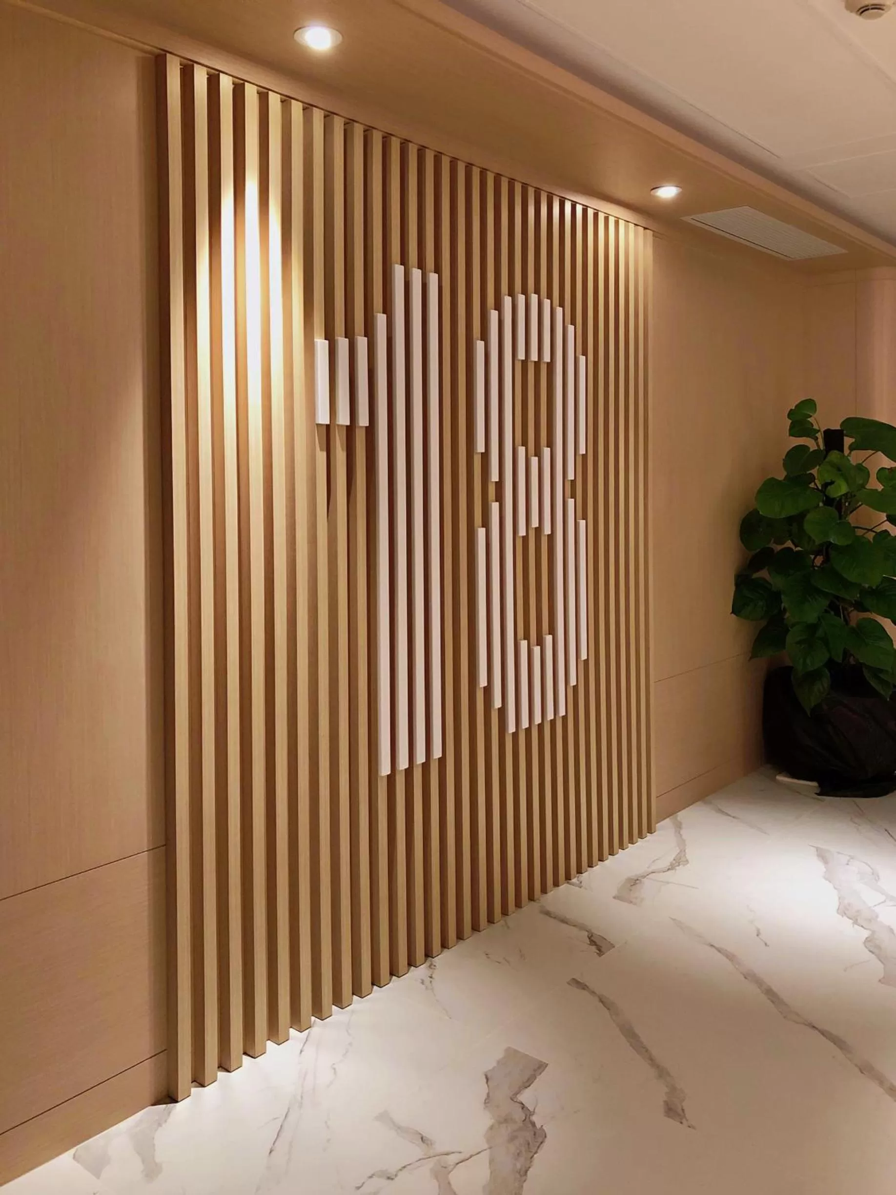 elevator in South Pacific Hotel