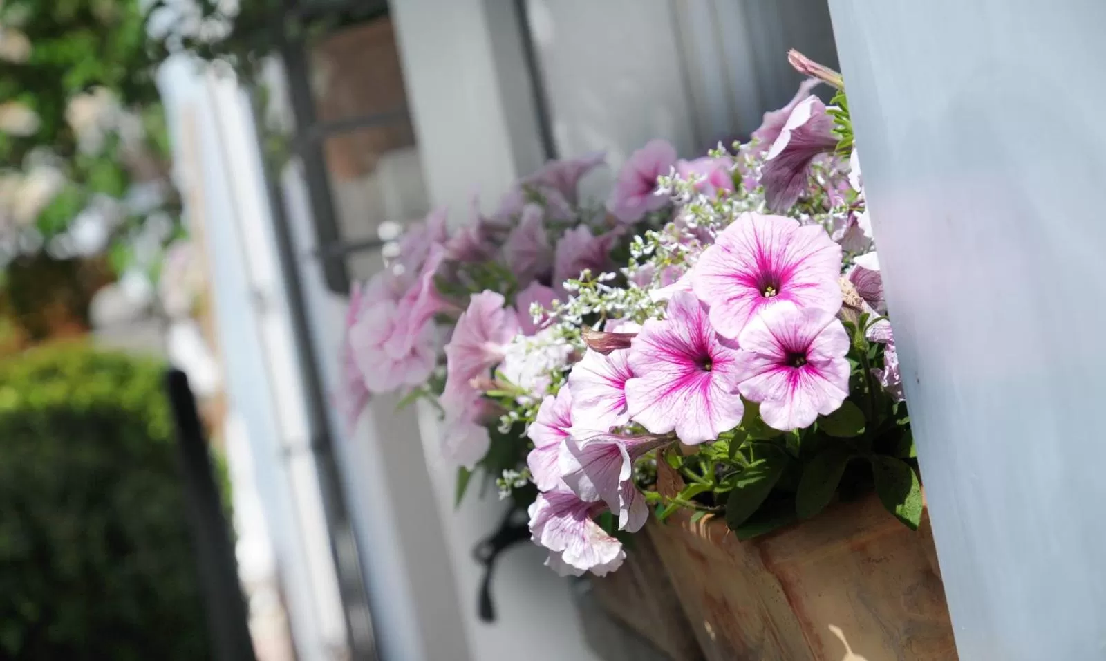 Decorative detail in Am Zehntstadl Hotel & Sauna