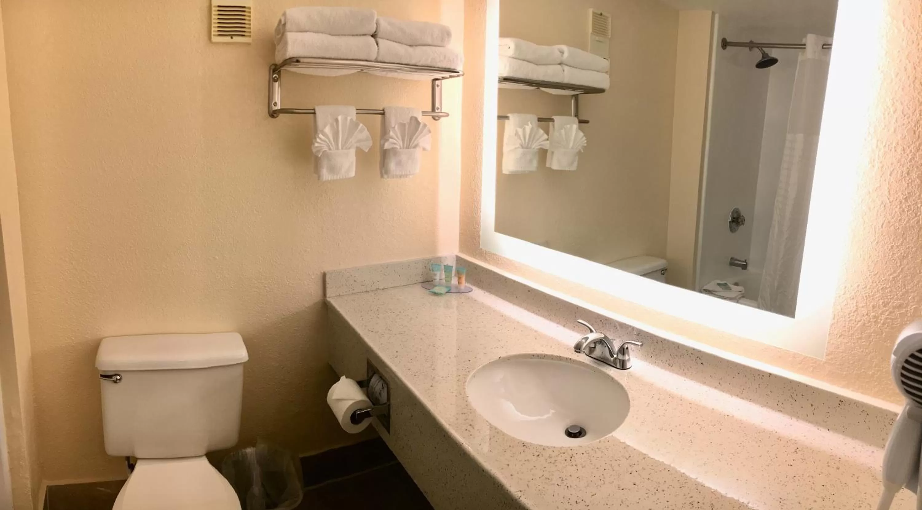 Bathroom in Floridian Express International Drive