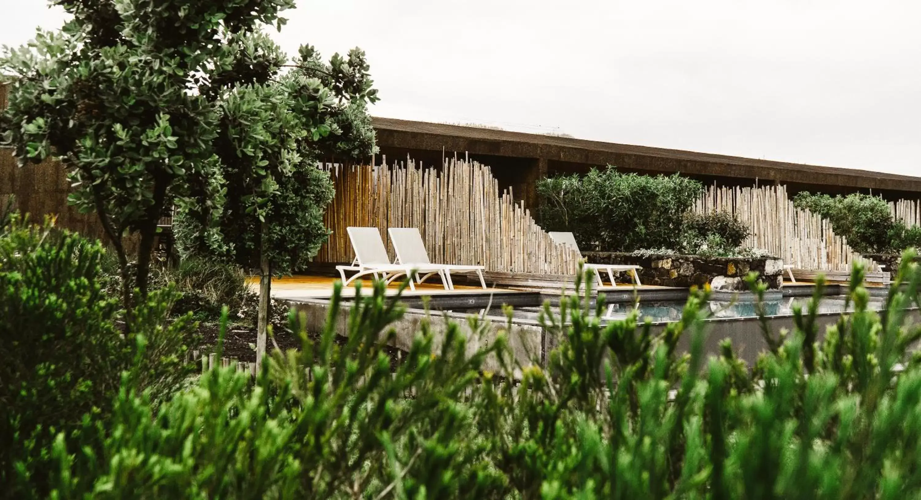 Studio with Side Sea View and Direct Access to Pool in Santa Barbara Eco-Beach Resort Studio with Side Sea View and Direct Access to Pool in Santa Barbara Eco-Beach Resort