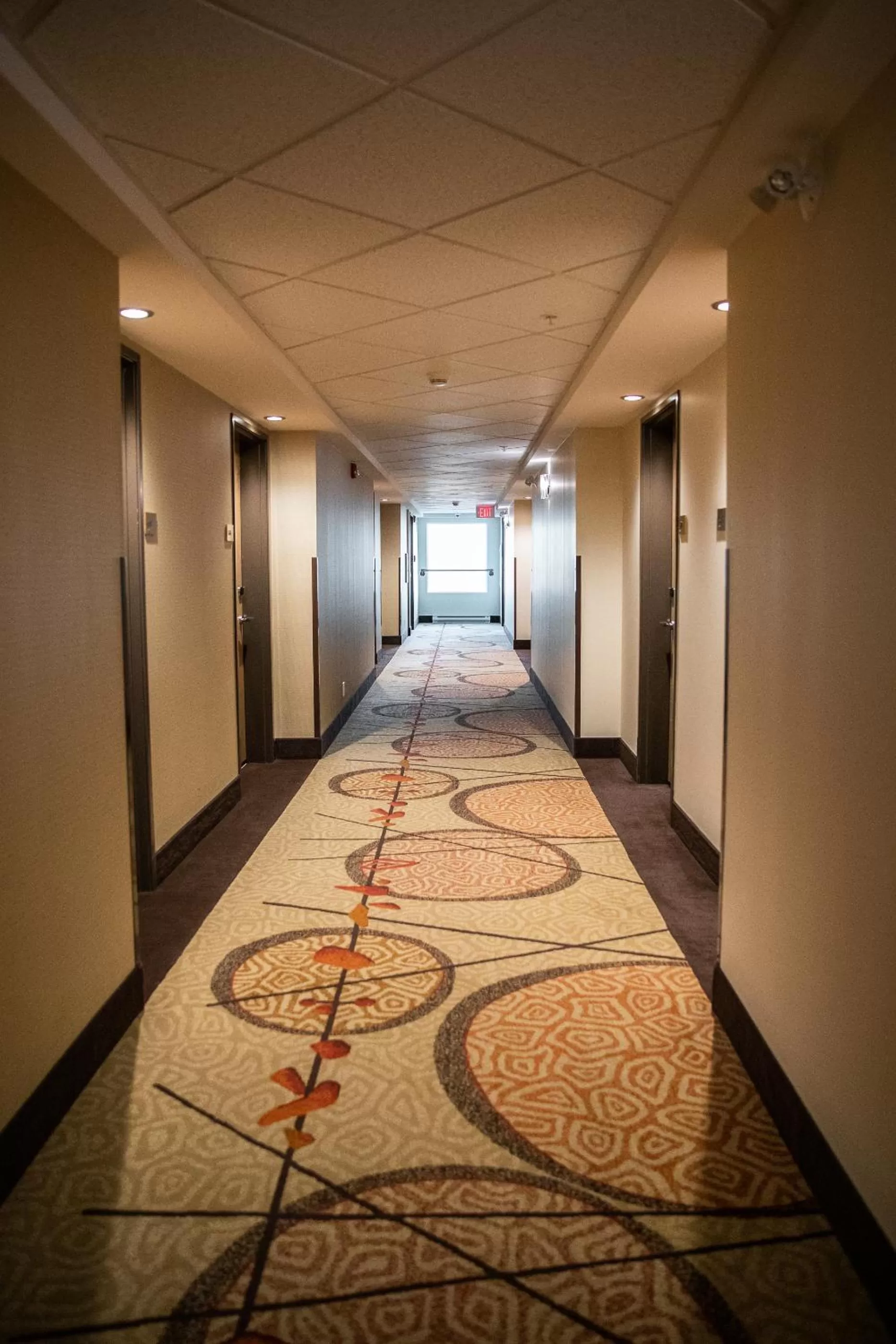 Property building in Hotel 11, MOD A Sonesta Collection