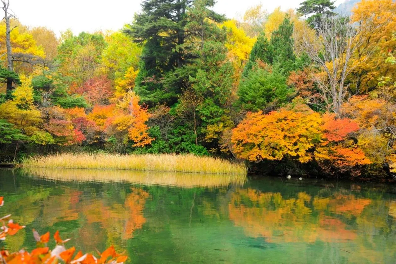 Area and facilities in Yumoto Itaya