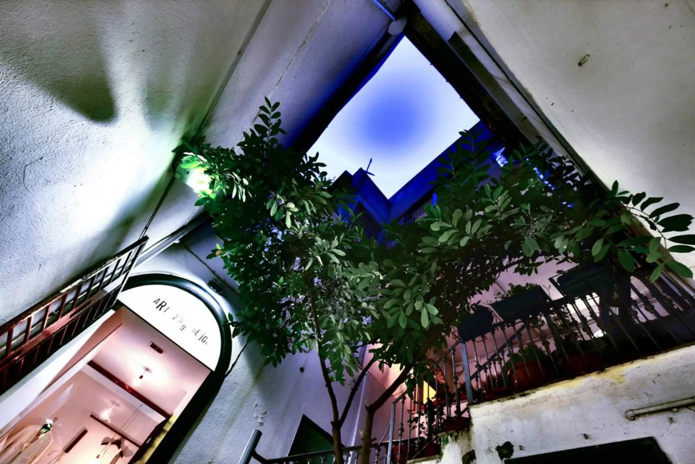 Patio, View in Casa Retro'