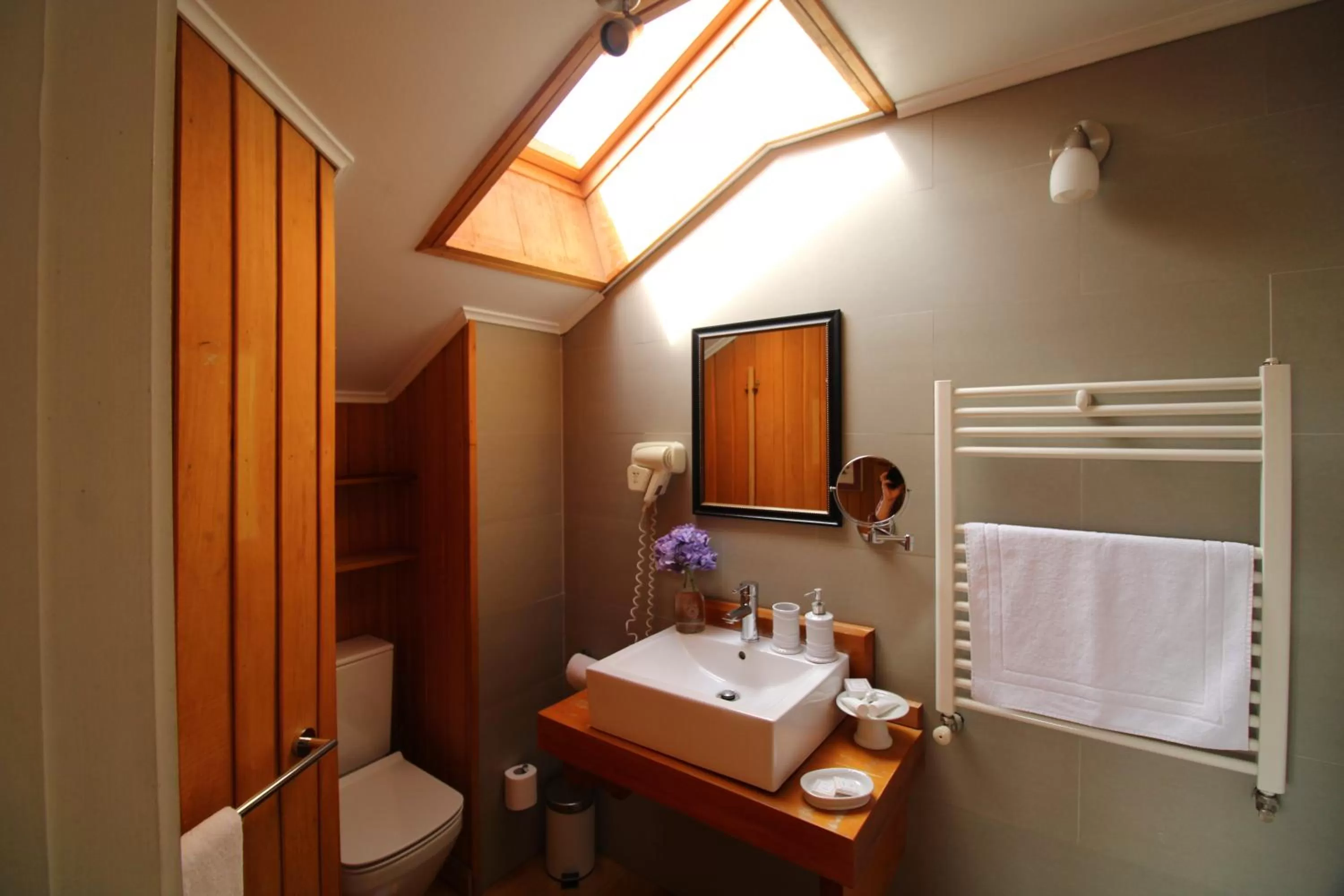 Toilet in Hotel Boutique Casa Werner