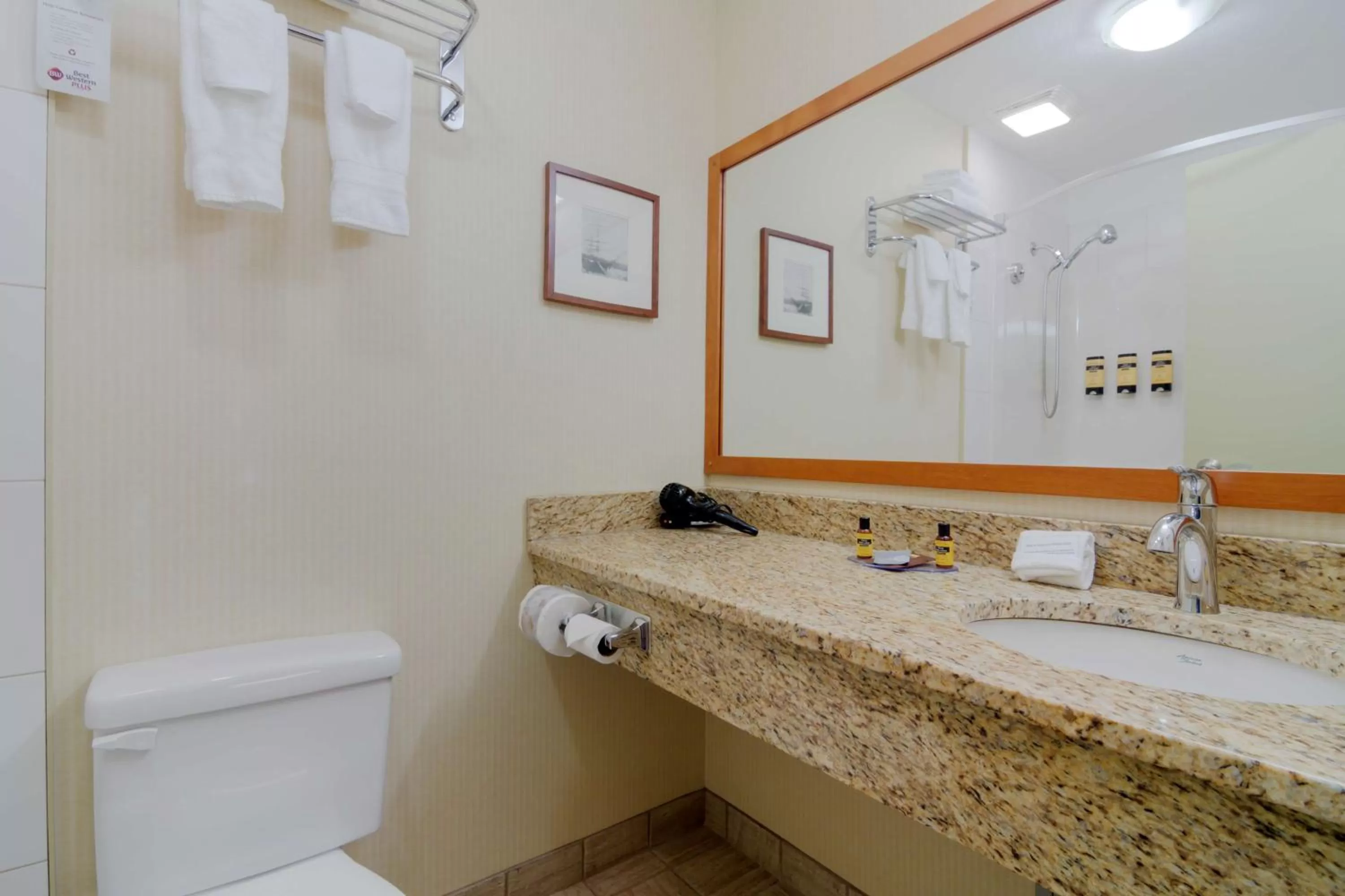 Bathroom in Best Western PLUS Chemainus Inn
