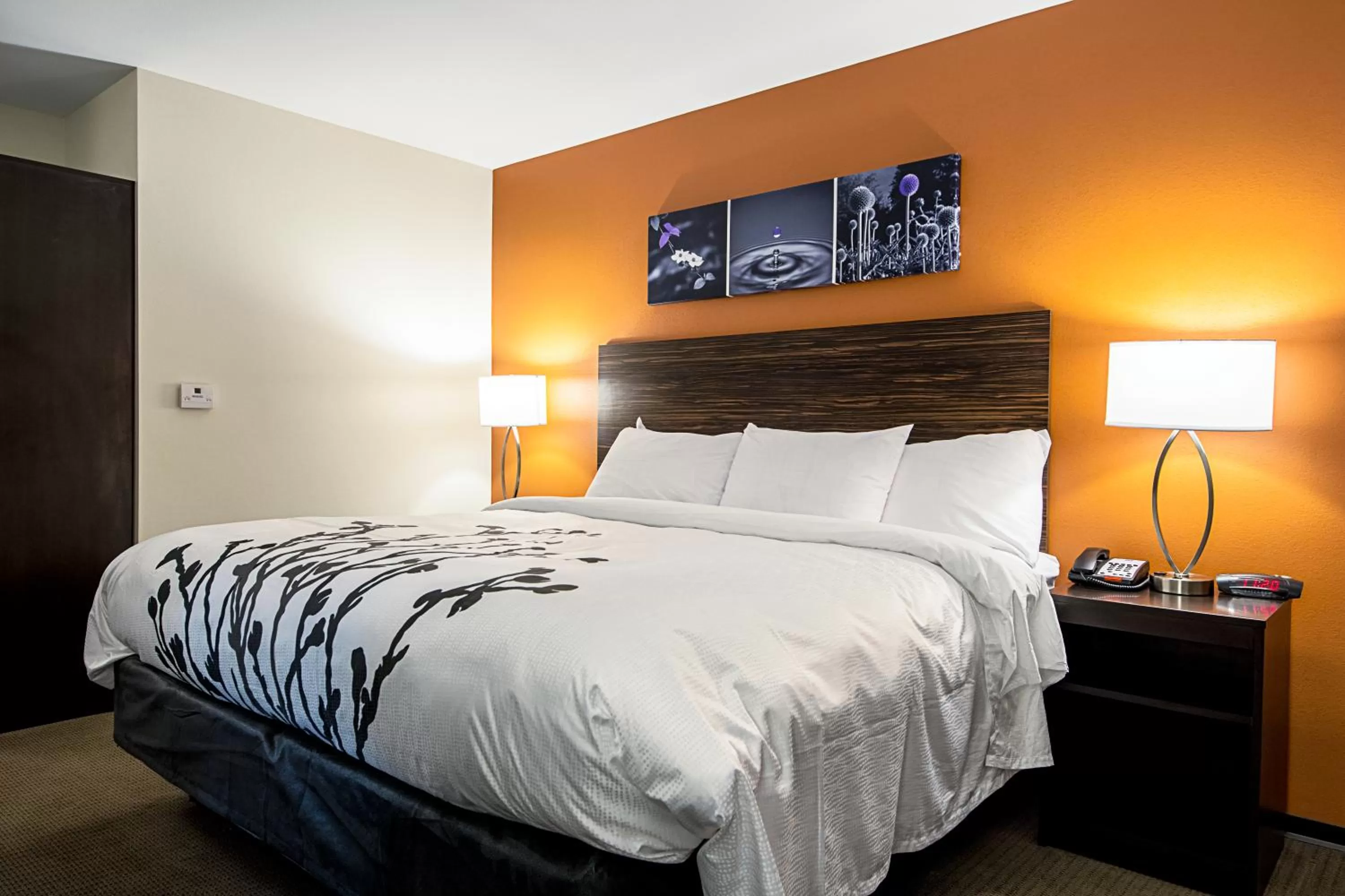 Bed in Sleep Inn Geismar - Gonzales