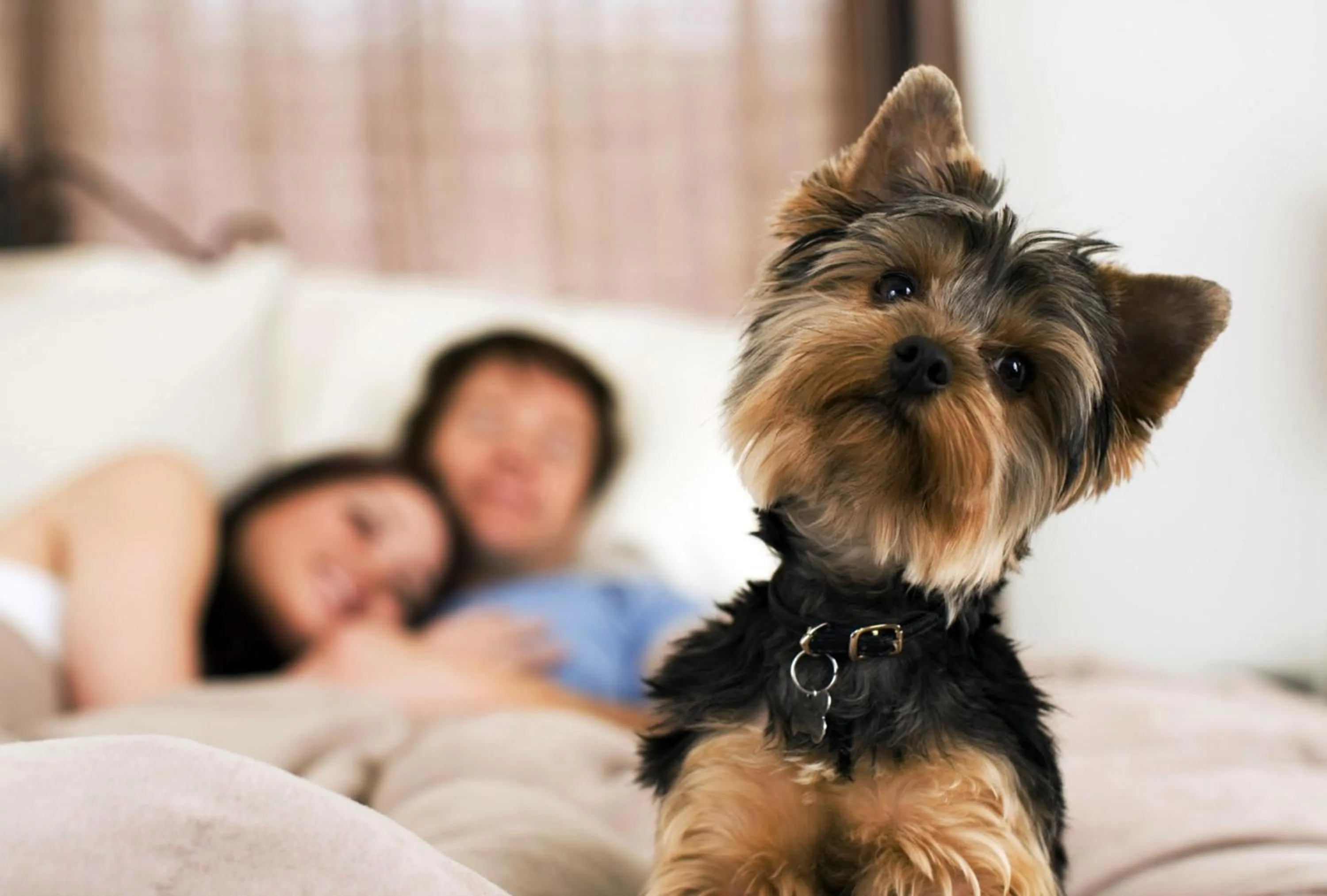 Other in Hotel Cristallo di La Rosetta Srl