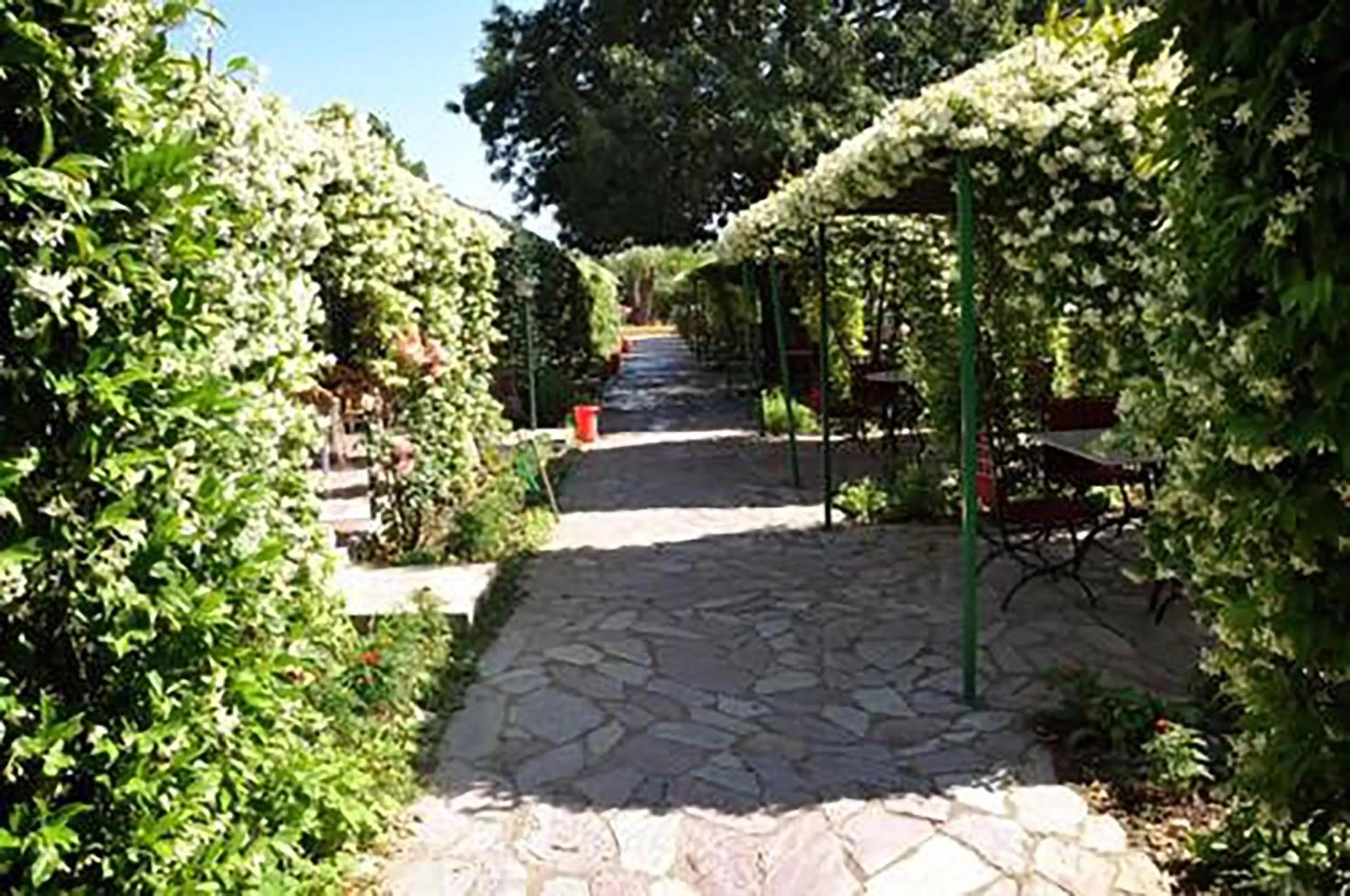 Garden in Buna Park Hotel