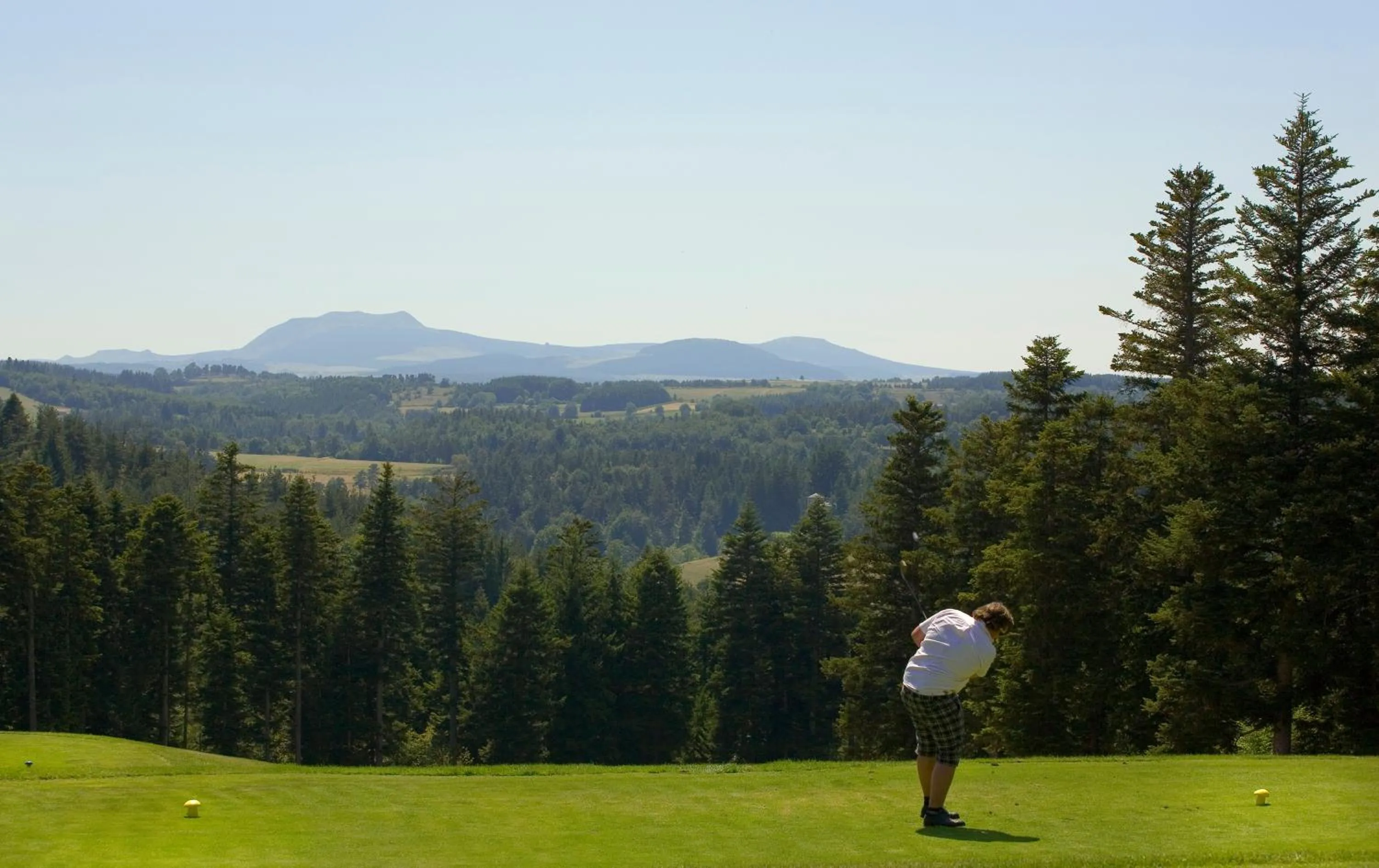 Garden in Bel Horizon