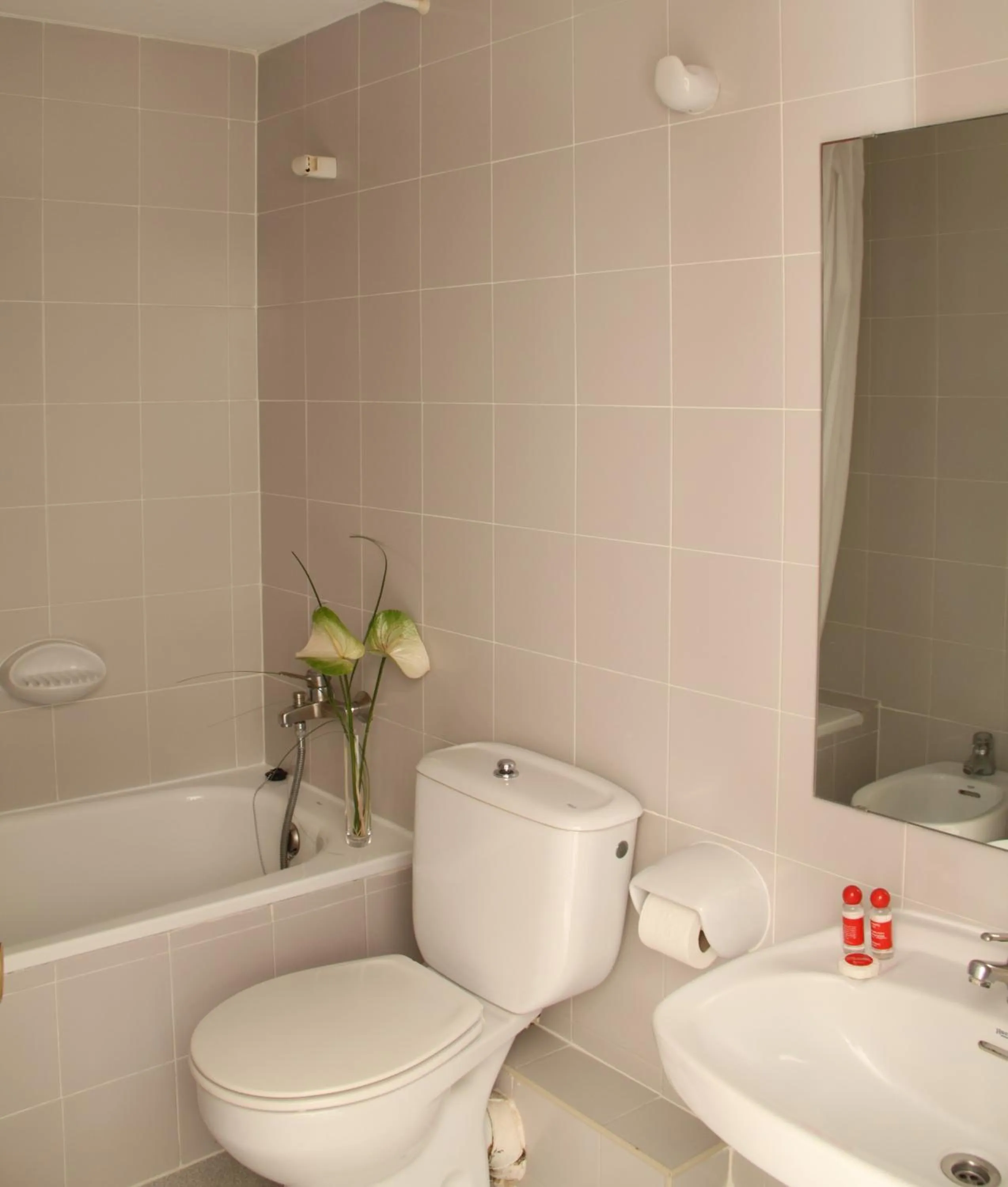 Bathroom in Hotel Monegal